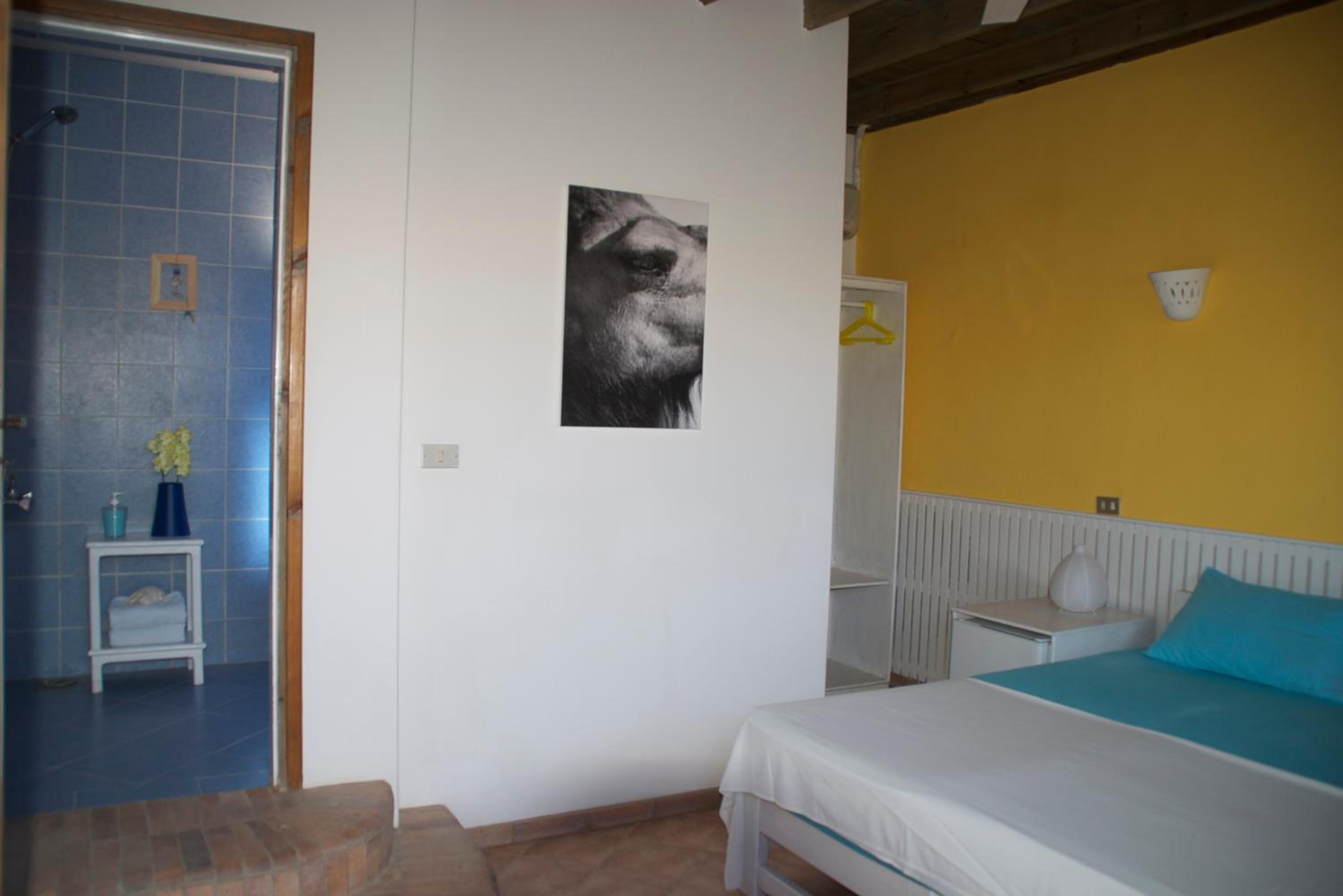 Standard Double or Twin Room - Photo 10