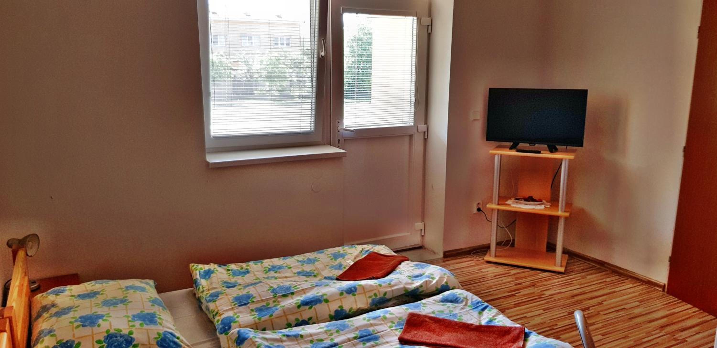 Studio with Terrace photo 2