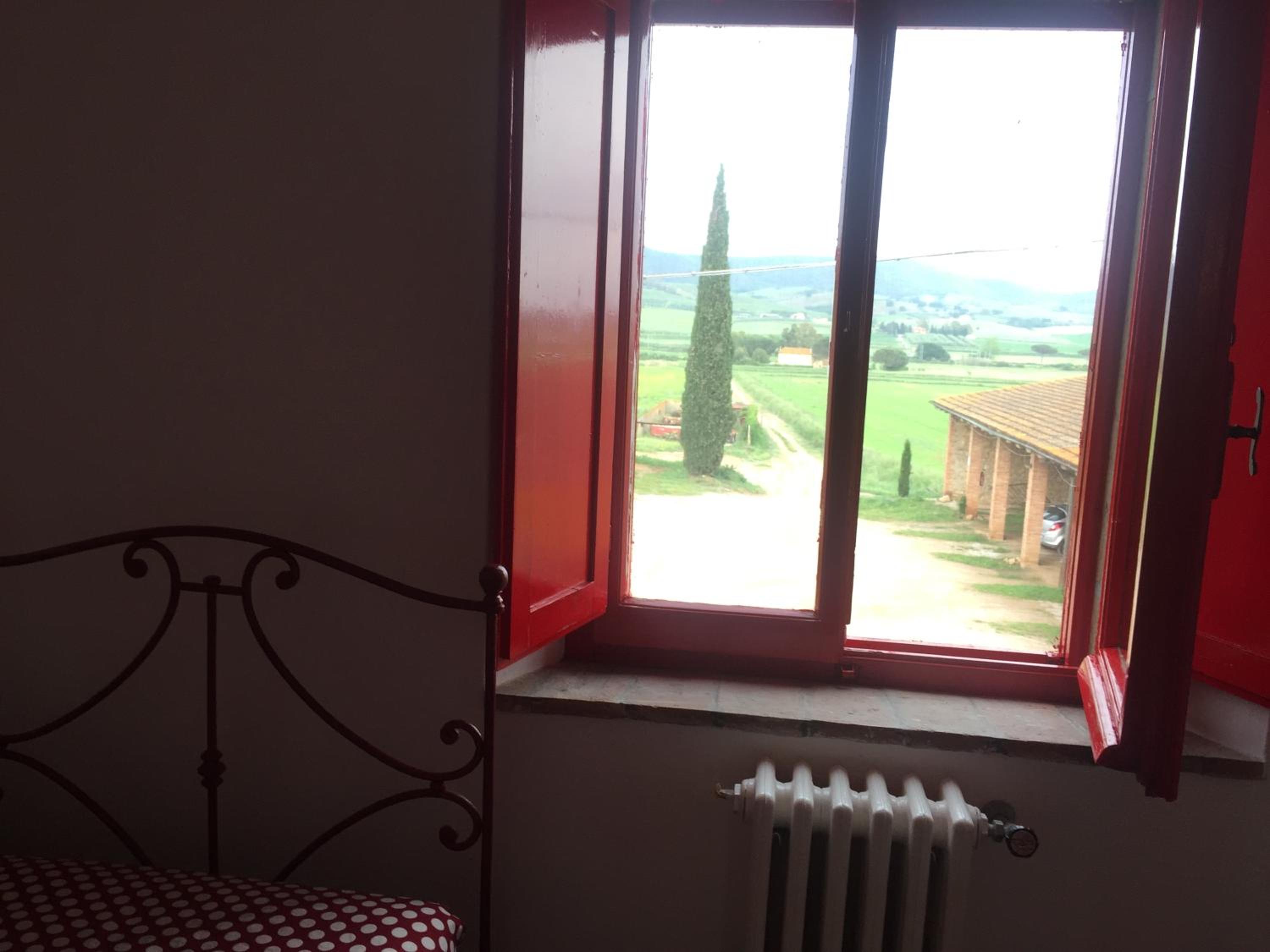 Apartment with Terrace photo 3
