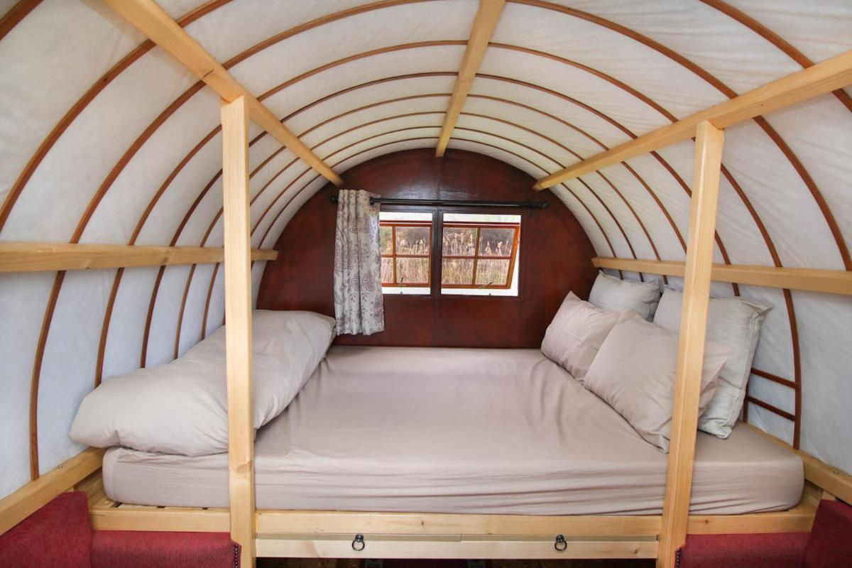 Mobile Home