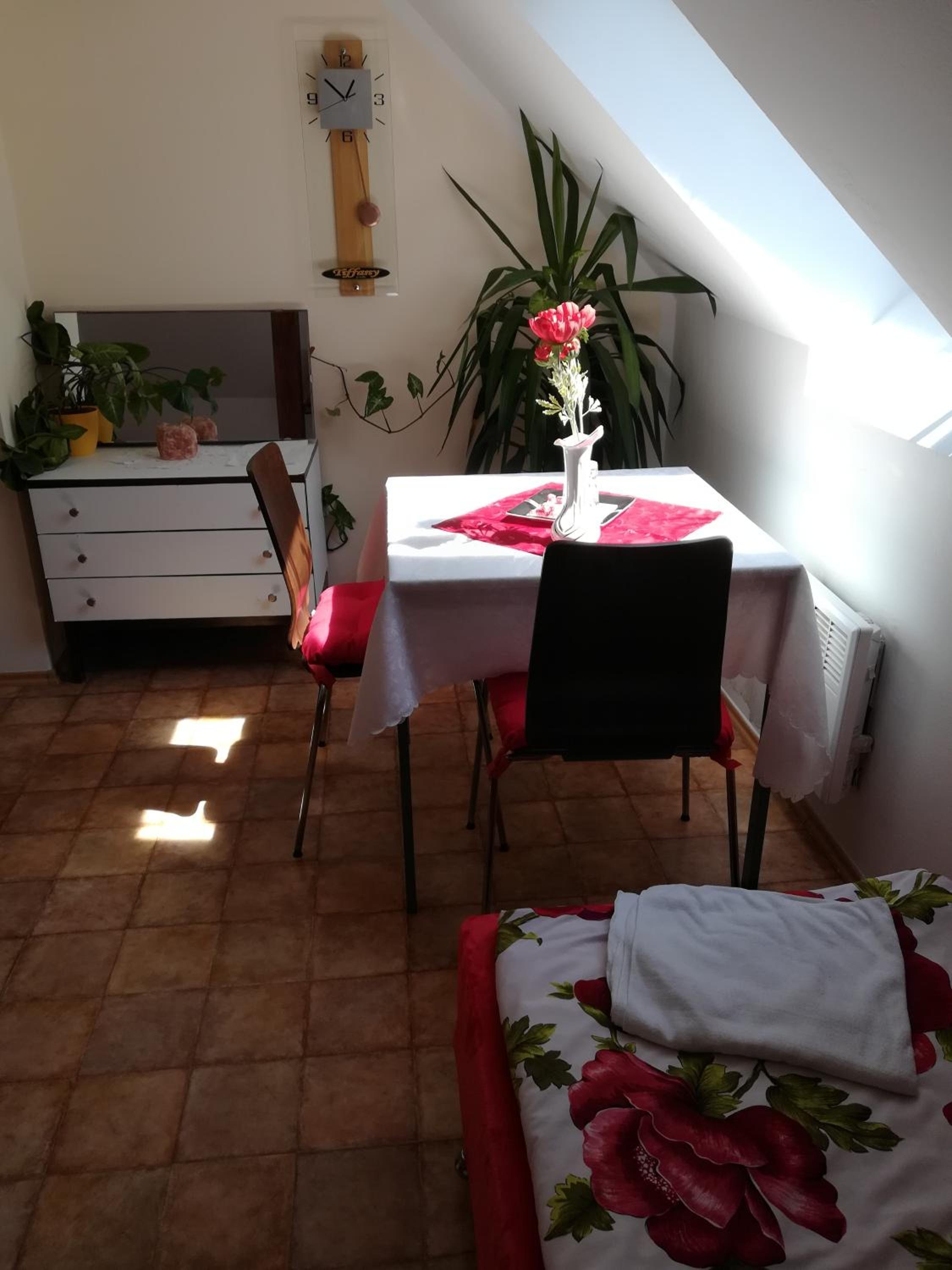 Small Room with 2 Sofa beds - Photo 8
