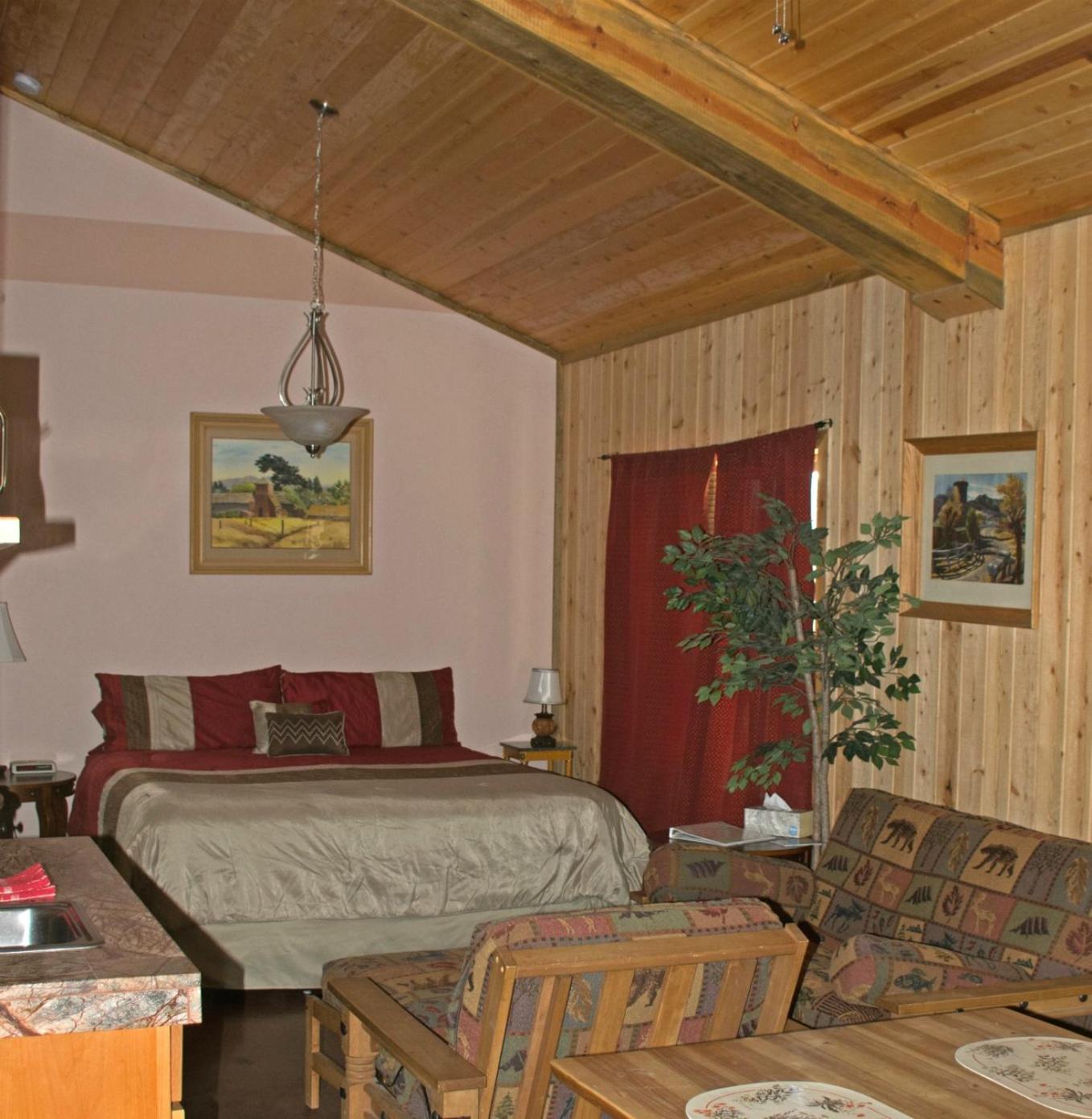 King Studio with Sofa Bed photo 1