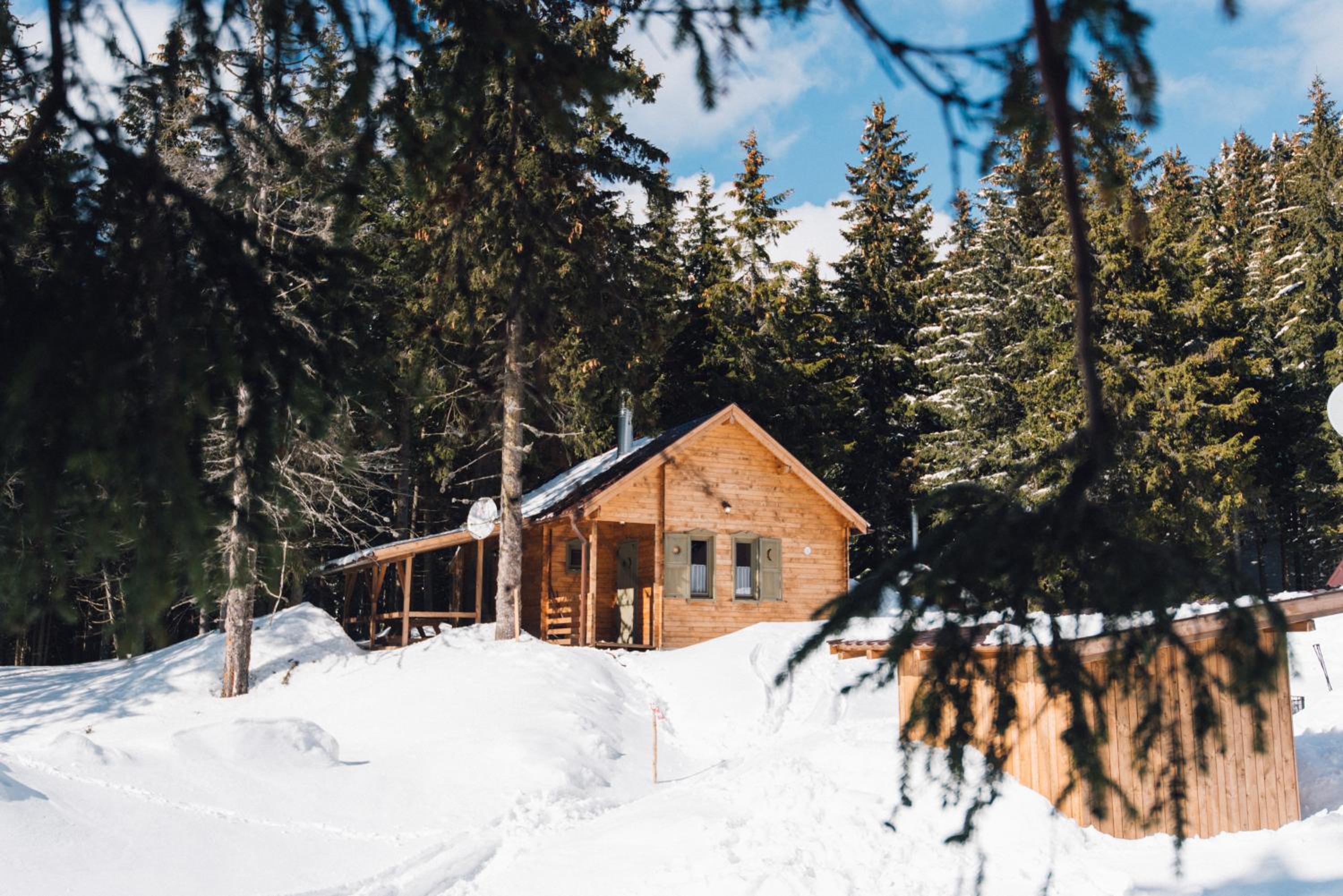 Three-Bedroom Chalet - Photo 5