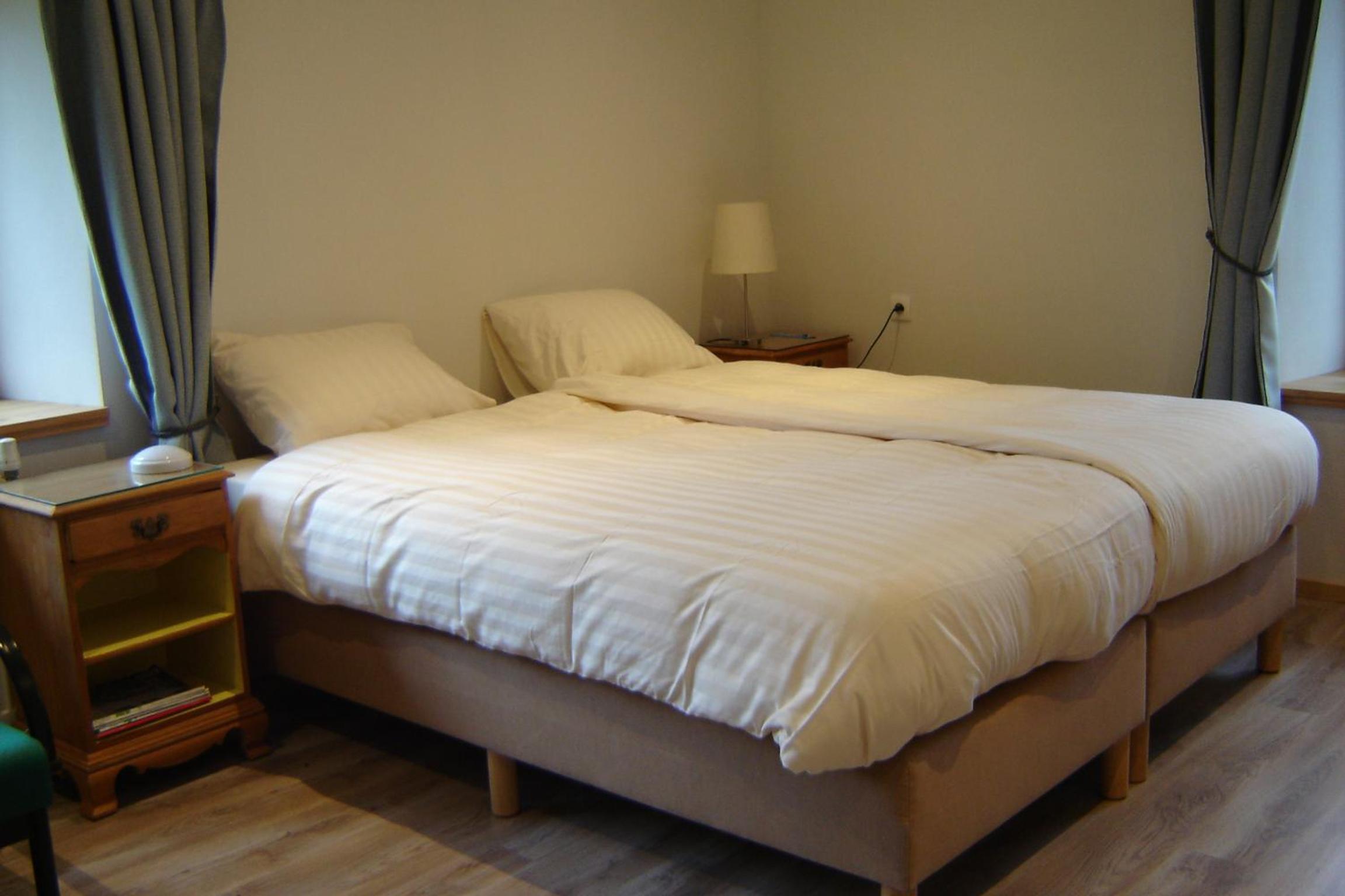 Deluxe Double or Twin Room with Mountain View photo 2