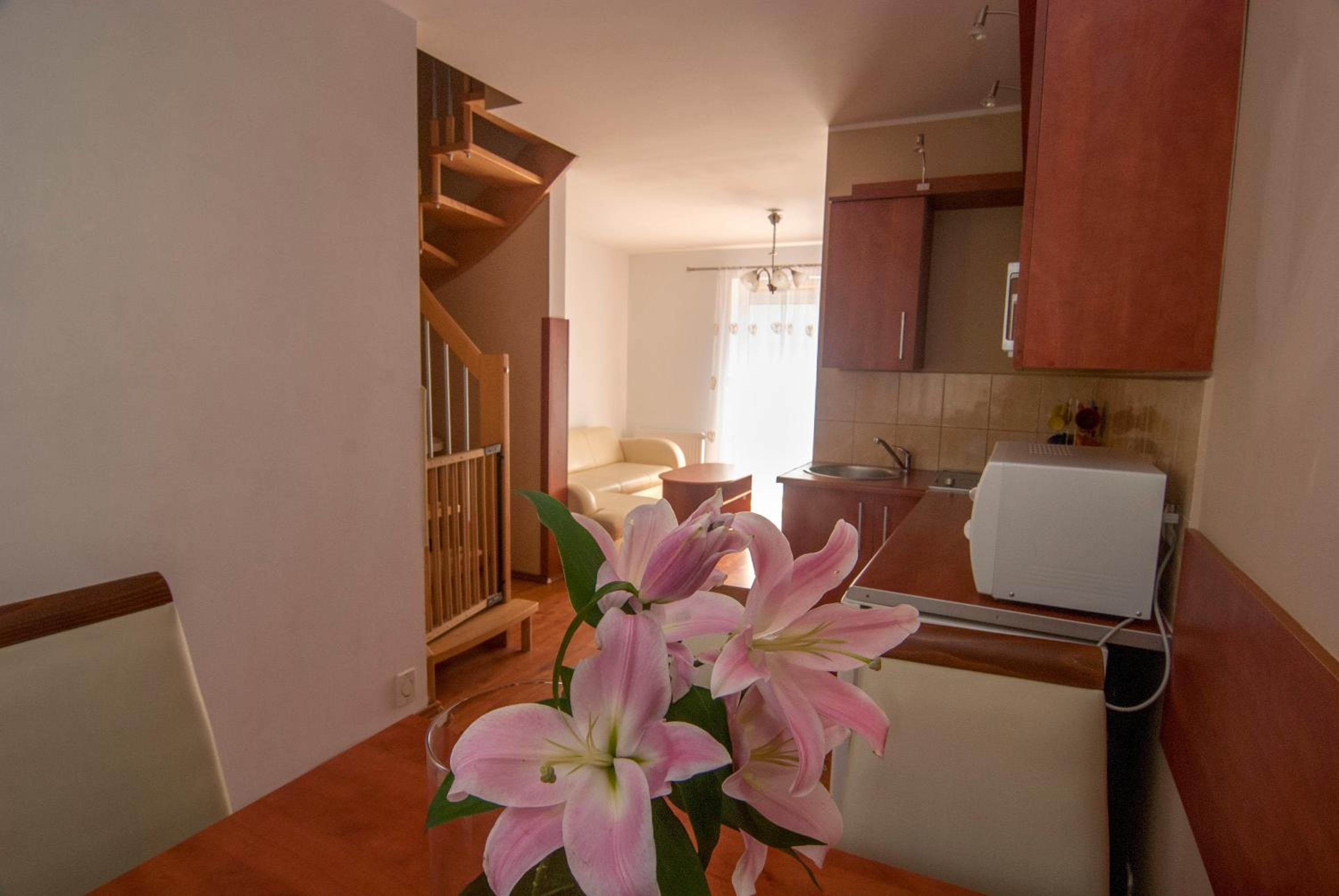 Duplex Apartment photo 2