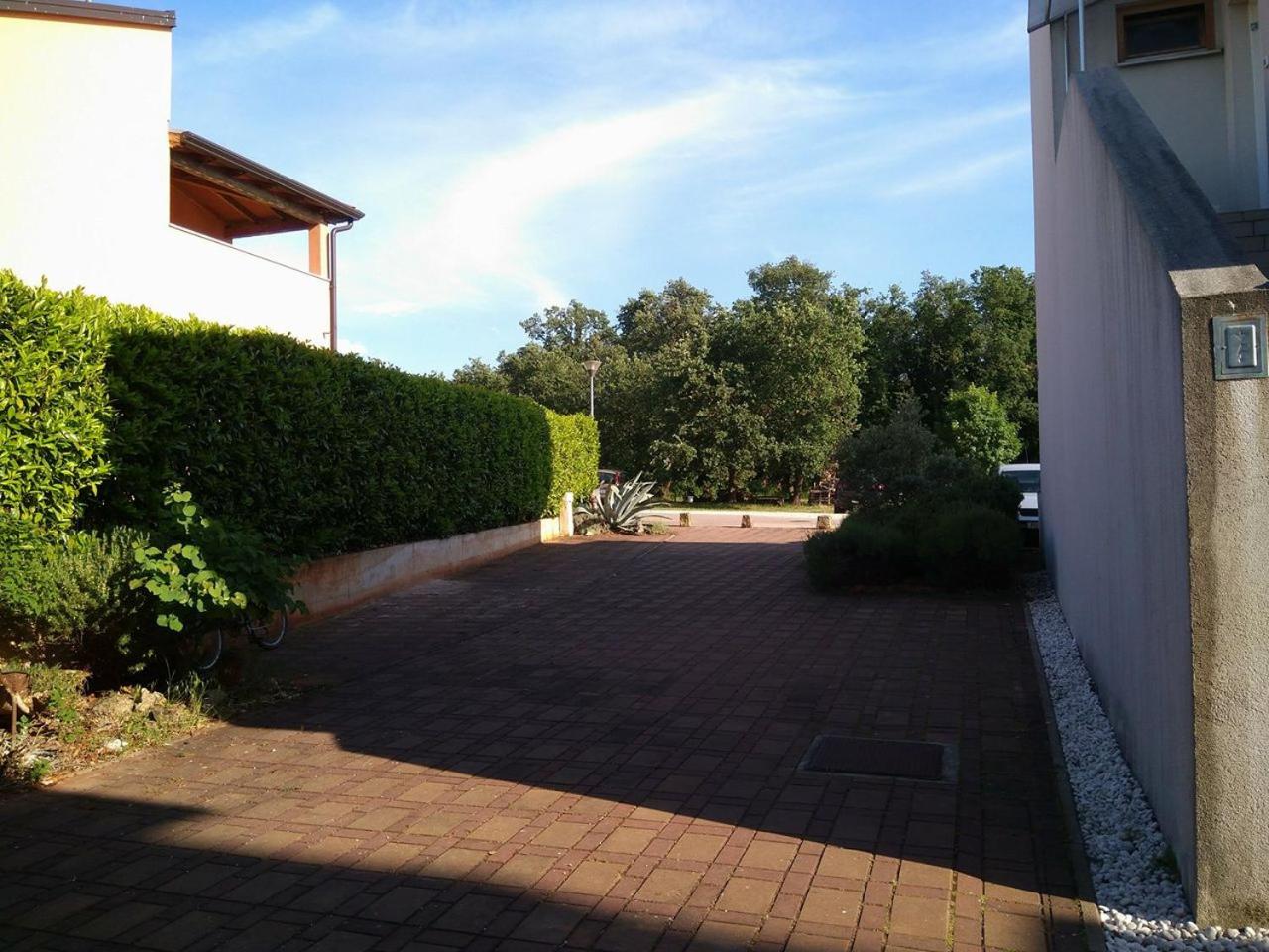 Apartment - Ground Floor - Photo 38
