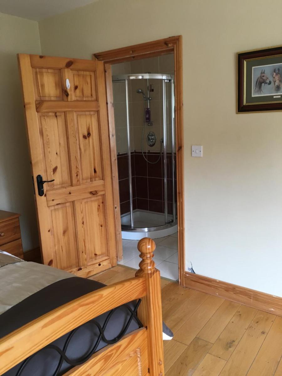 Deluxe Double Room with Shower - Photo 11