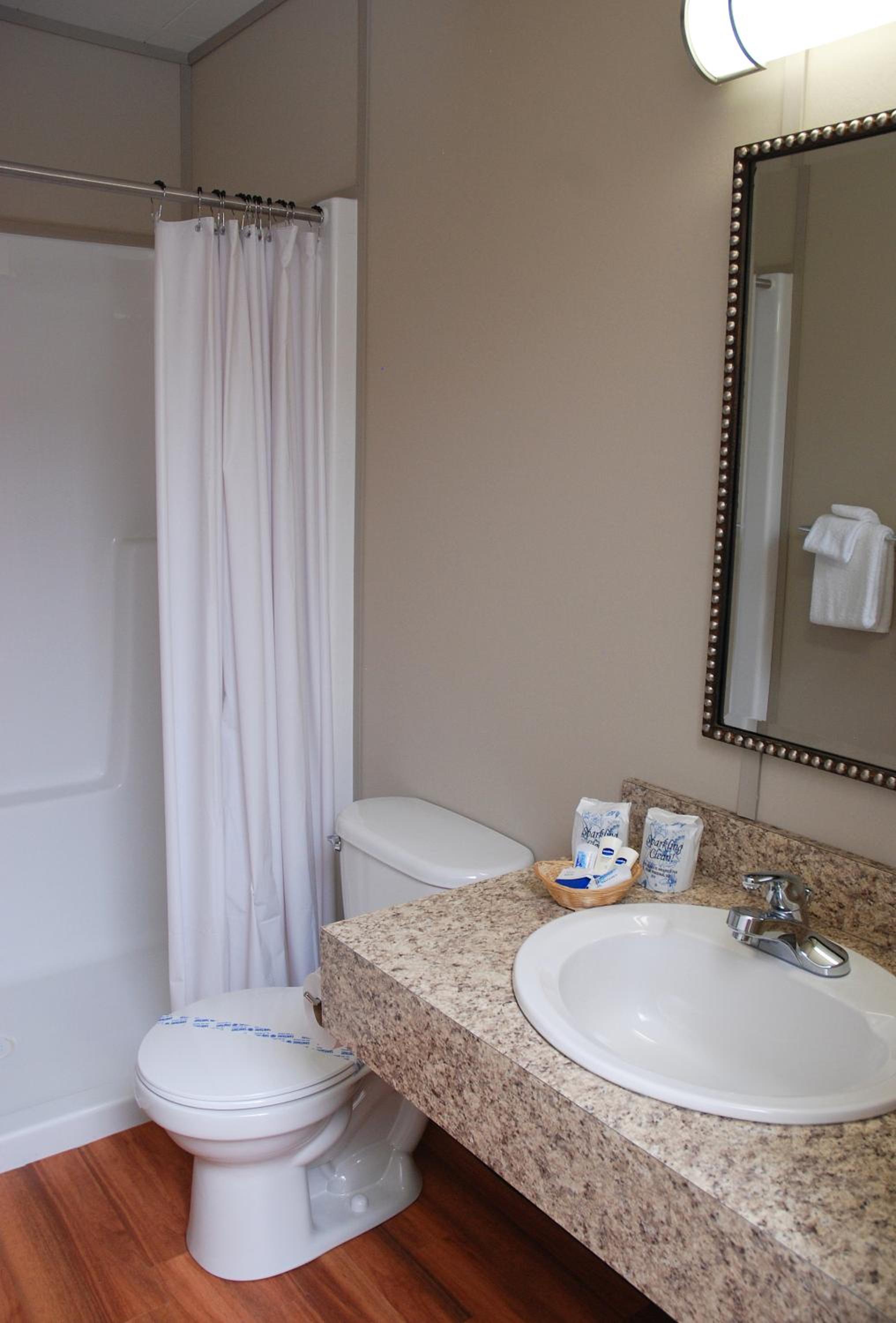 Deluxe Queen Suite photo 2