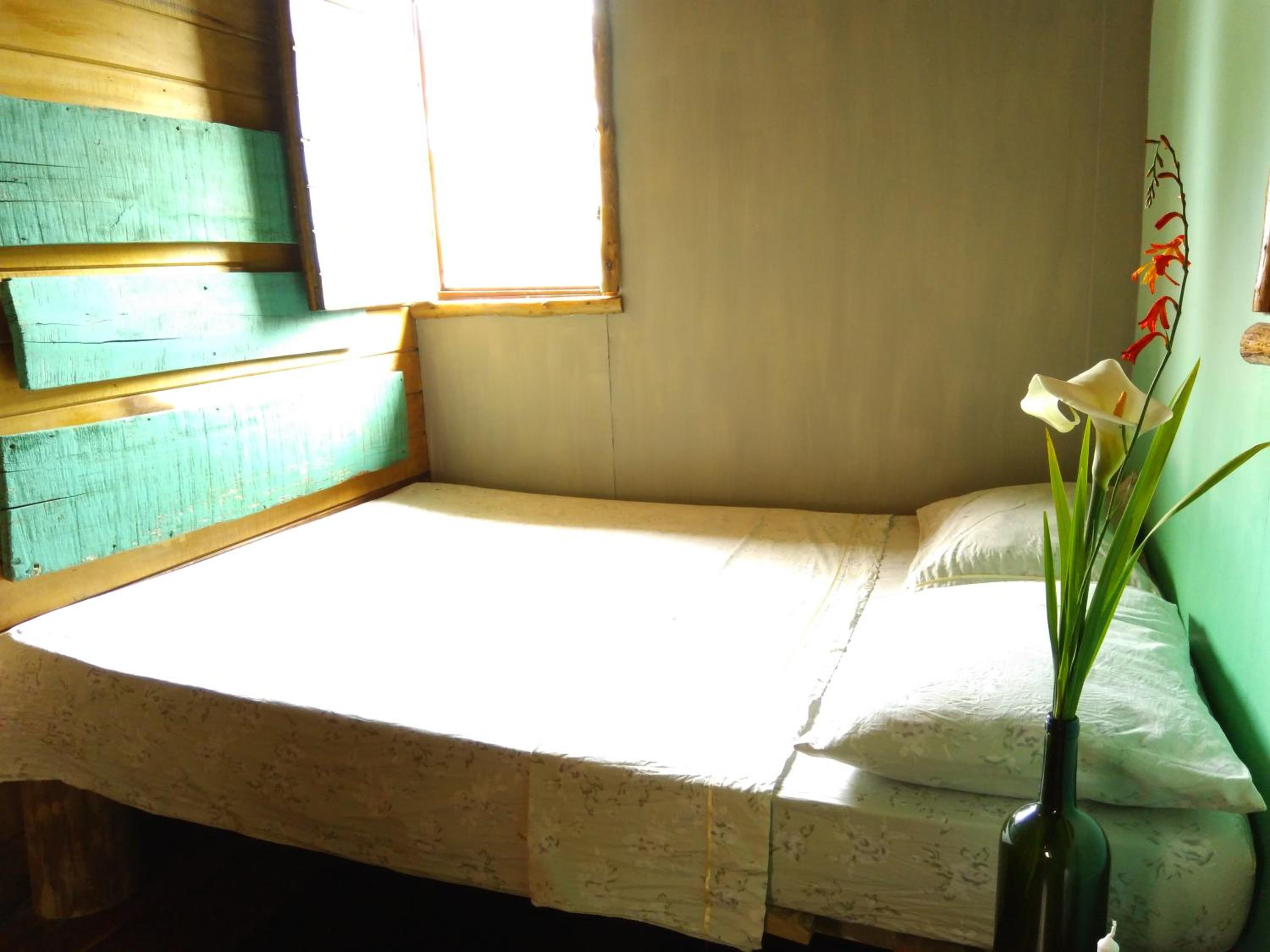 Budget Single Room