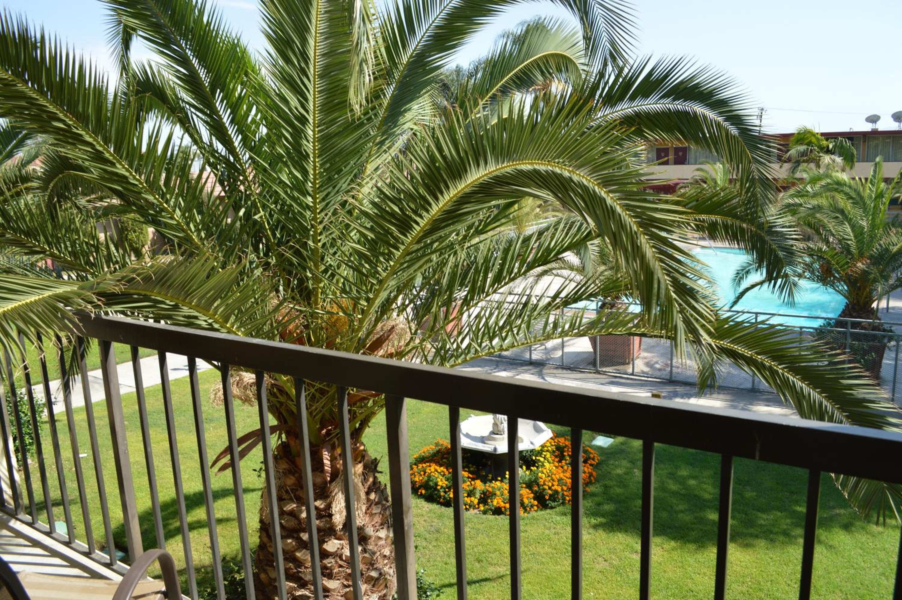 King Room with Balcony - Photo 3