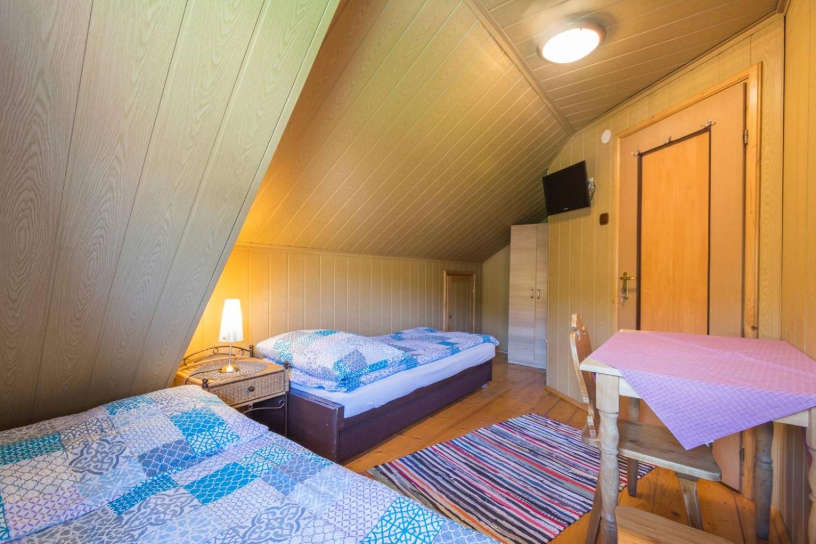 Family Room - Attic photo 3