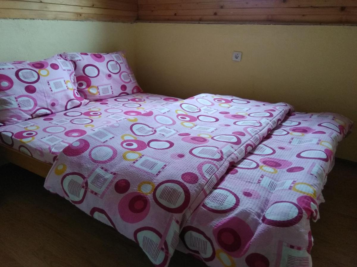 Twin Room photo 3