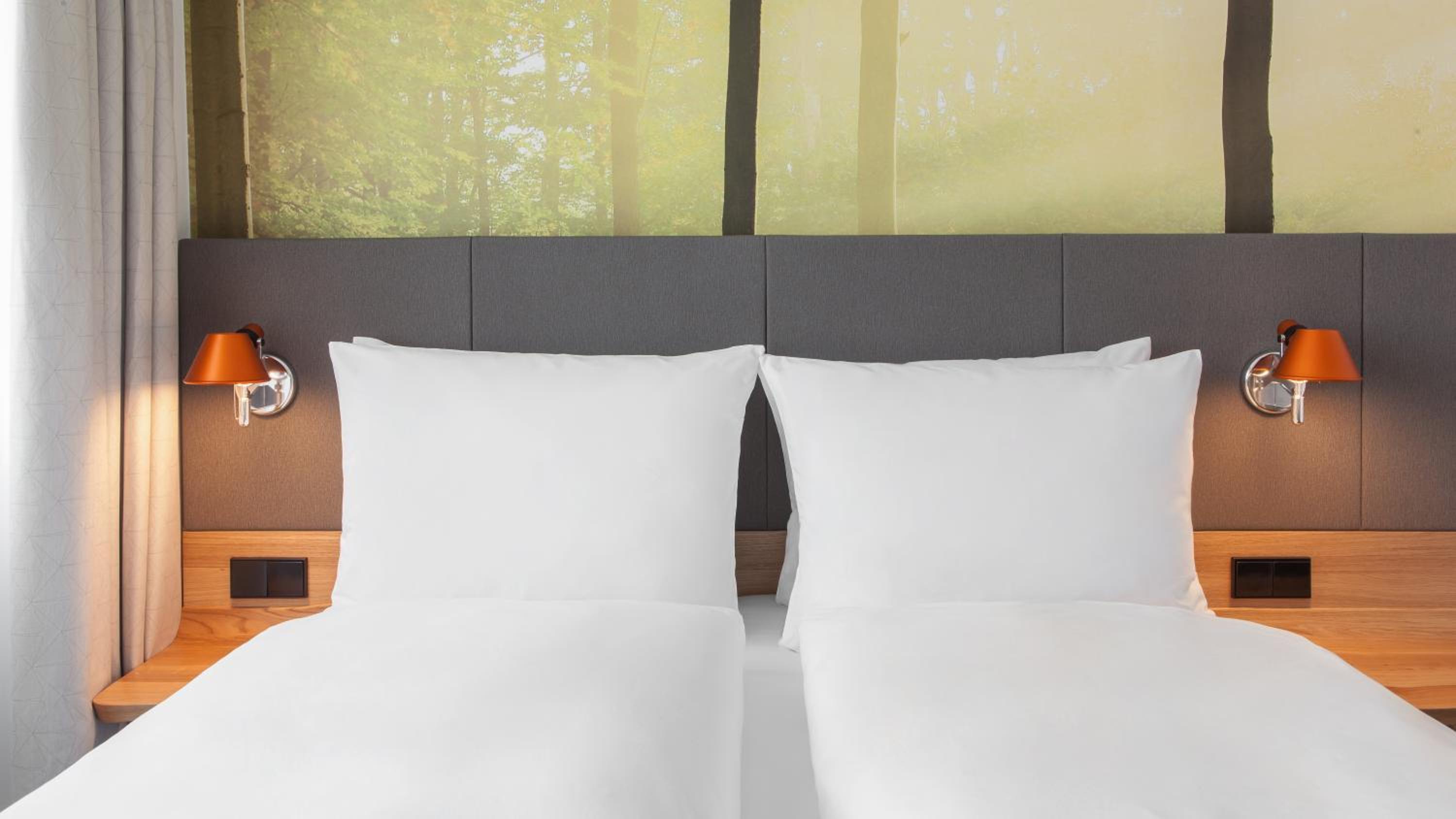 Executive King Suite photo 1