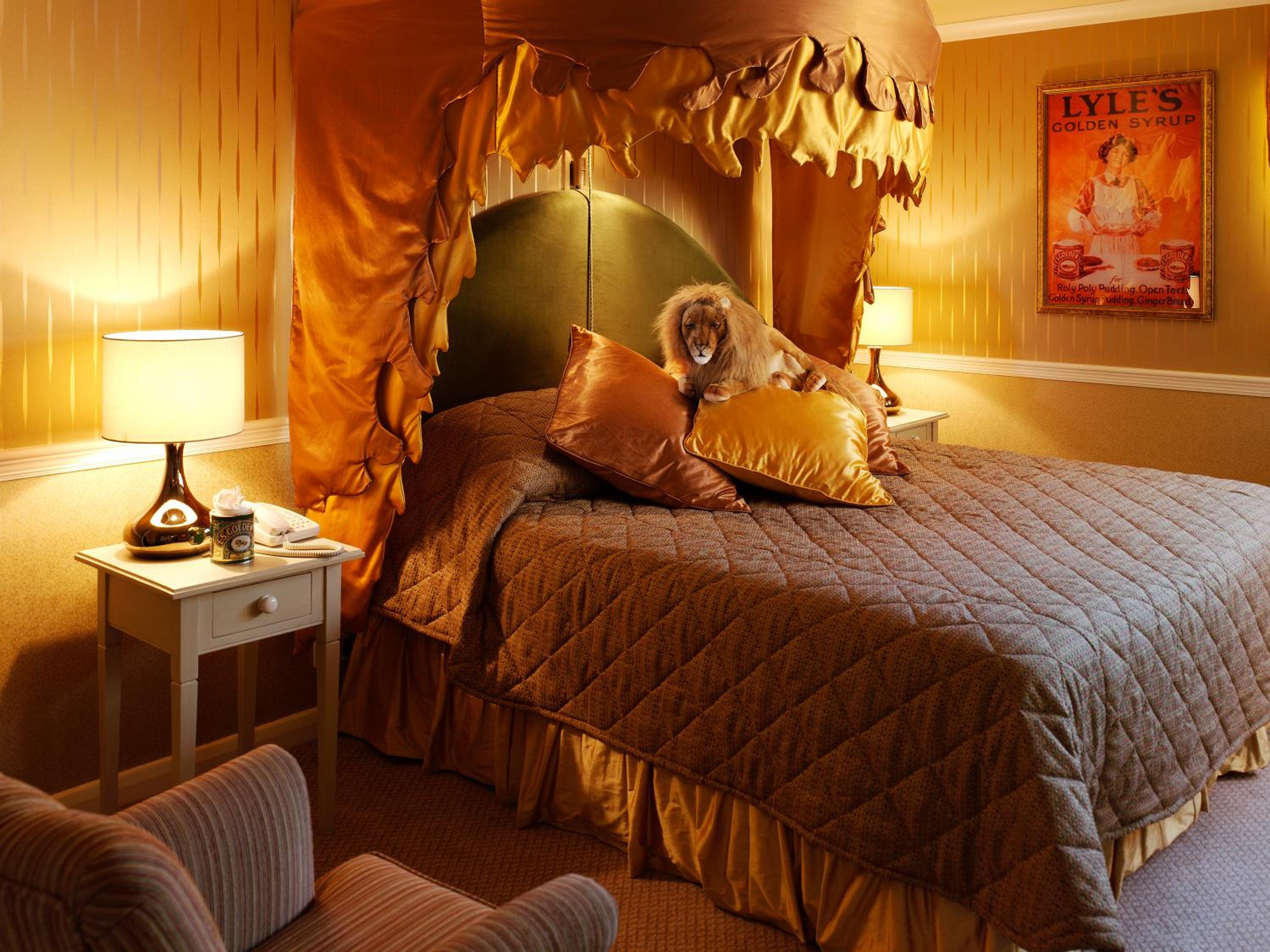 Theme Twin Room - Photo 1