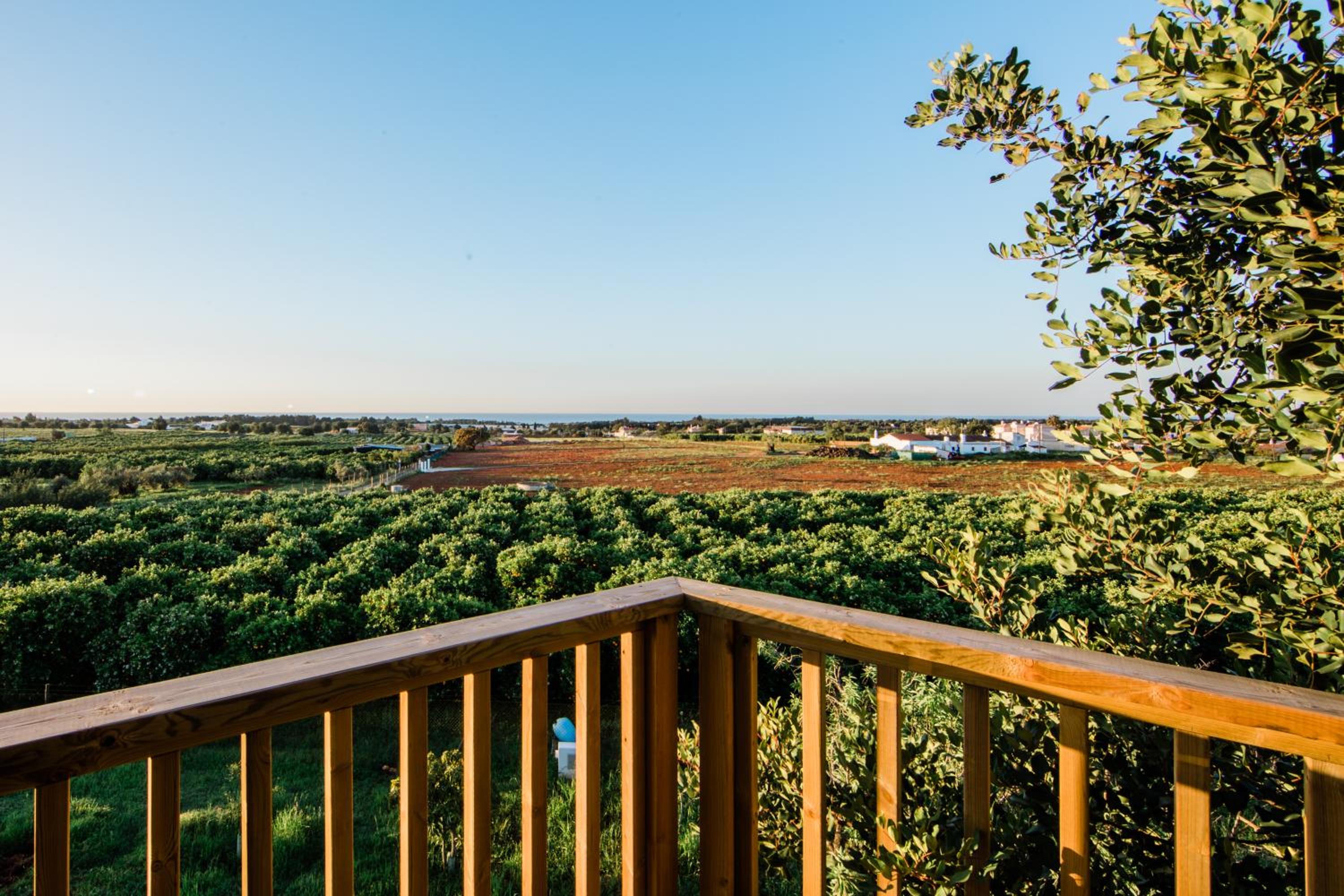 Tree House photo 3