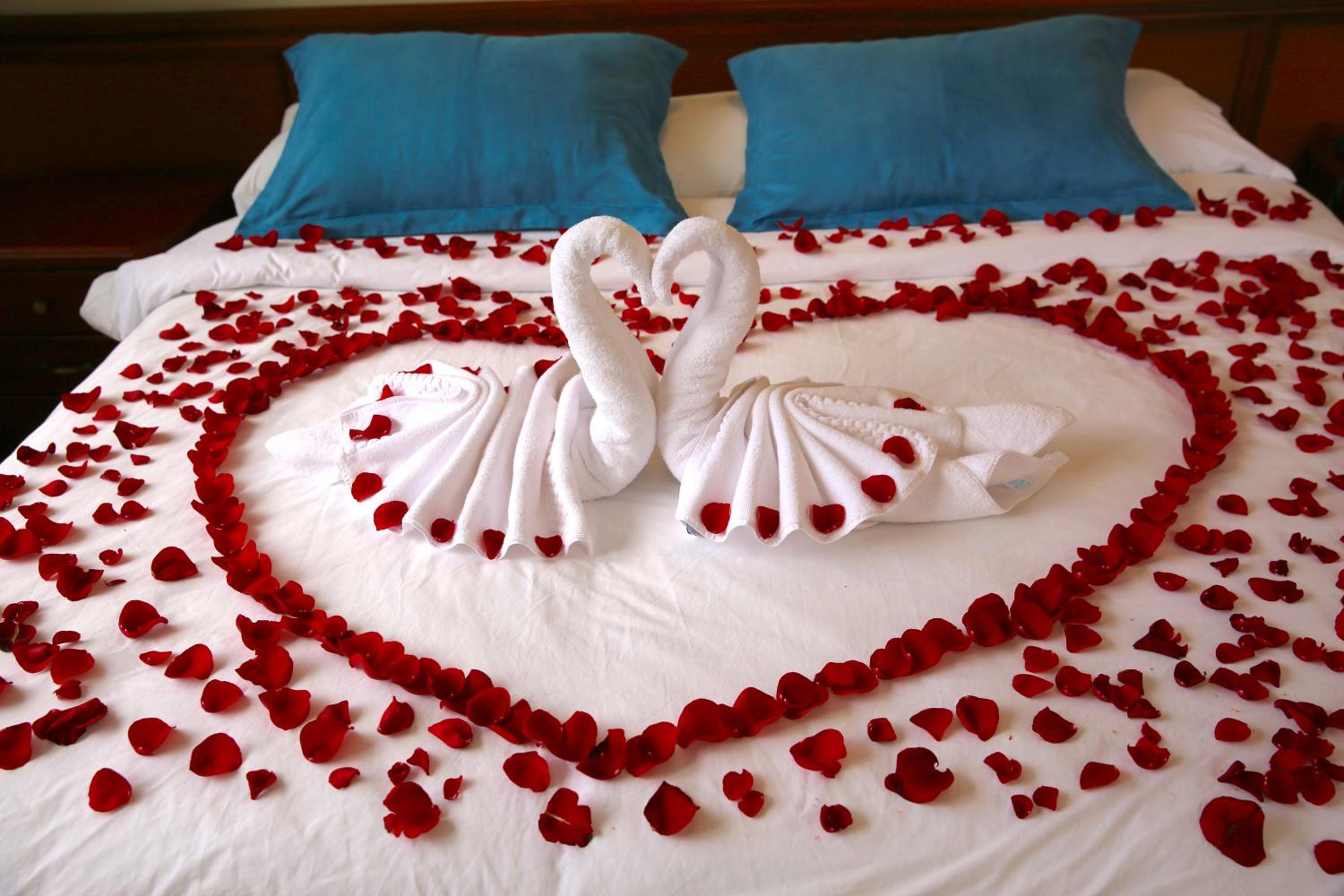 Twin Room photo 2