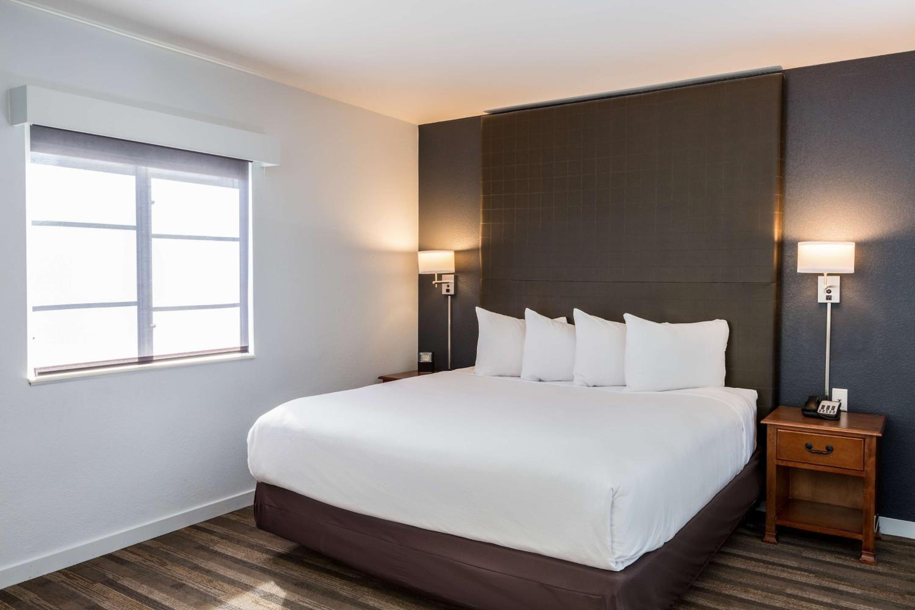 One-Bedroom Suite - Photo 4