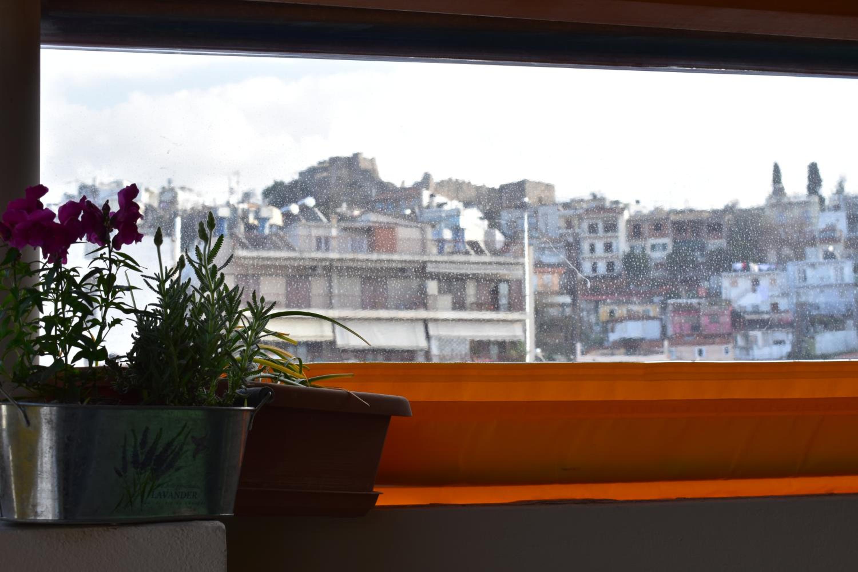 Apartment - Photo 24