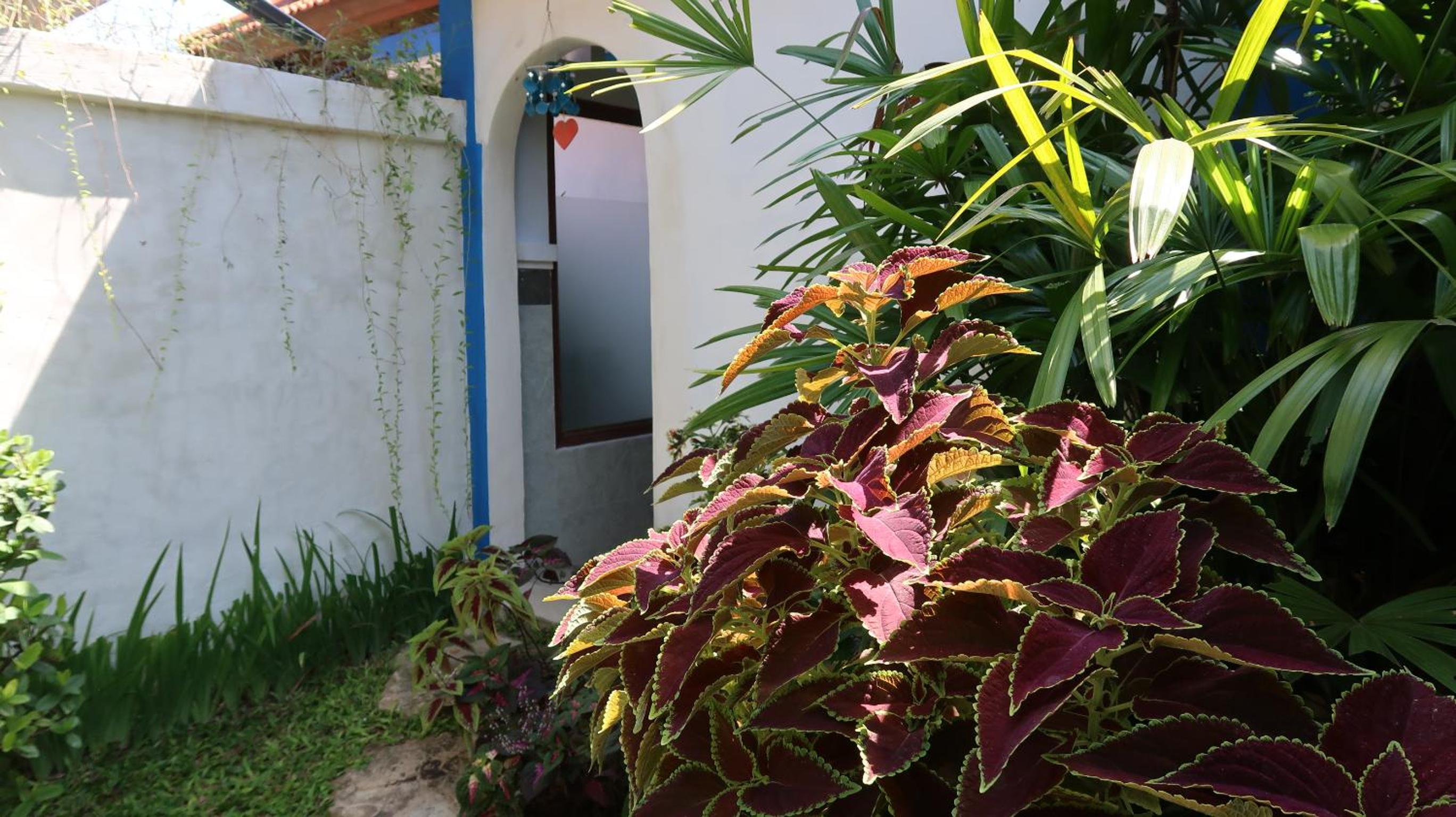 Superior Bungalow - Photo 2