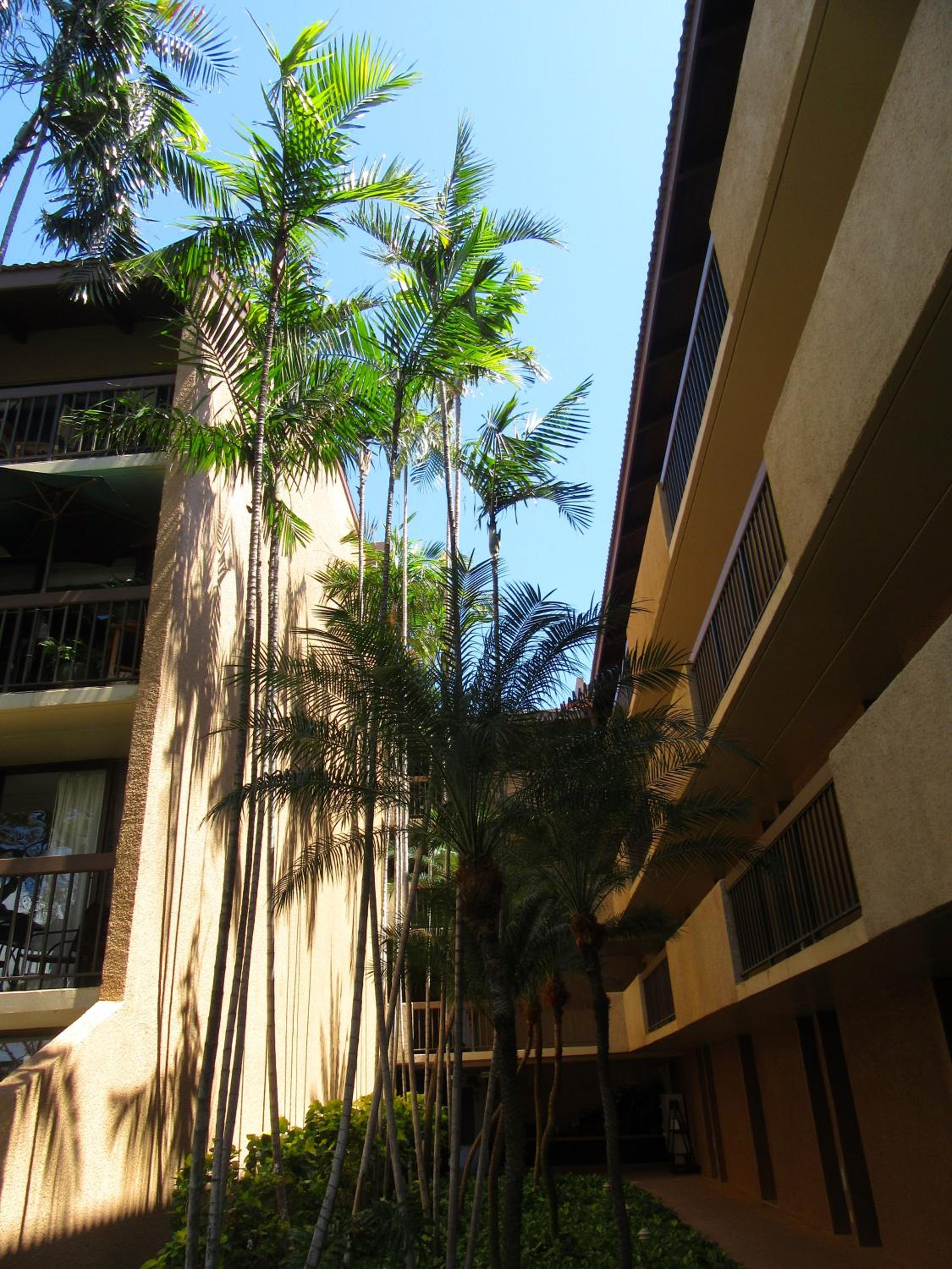 Apartment photo 2