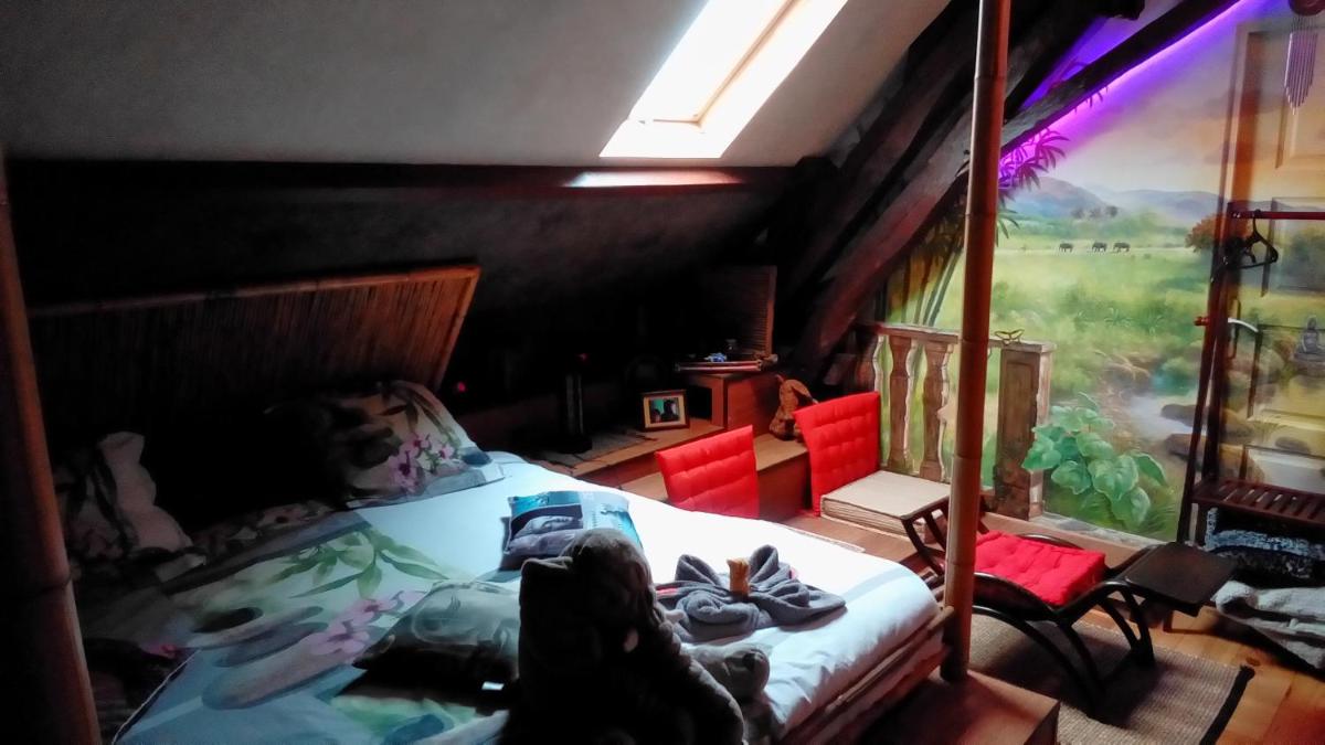 Comfort Quadruple Room photo 3