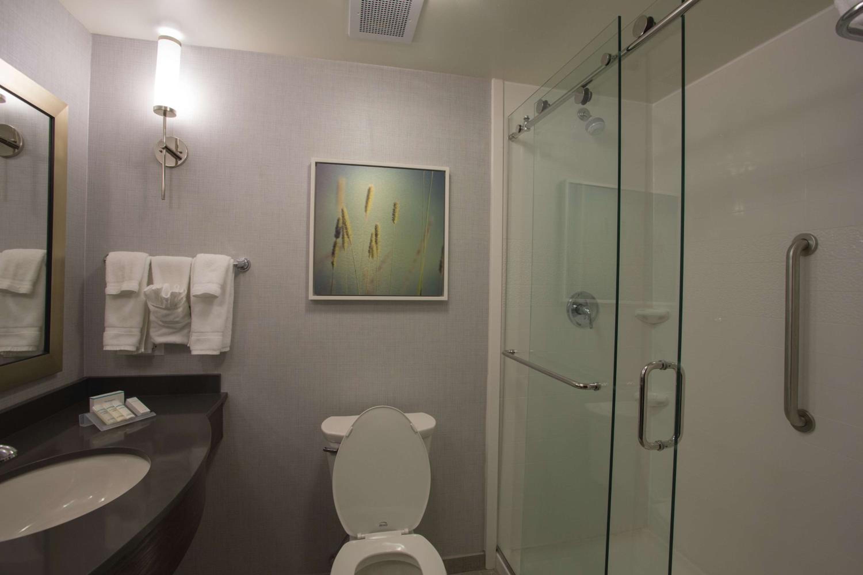 King Room with Roll-In Shower - Mobility Access
