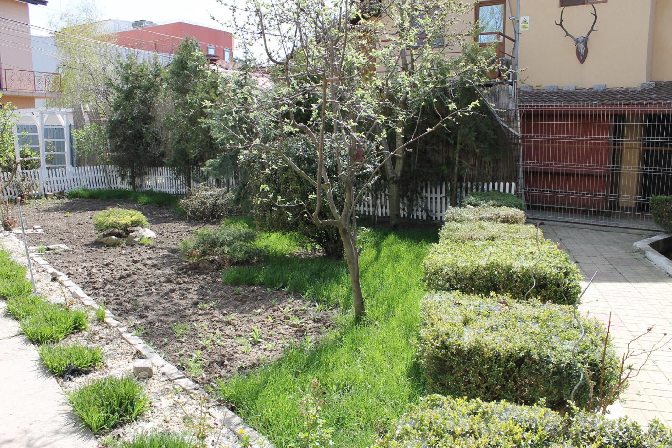 Superior Villa - Photo 2