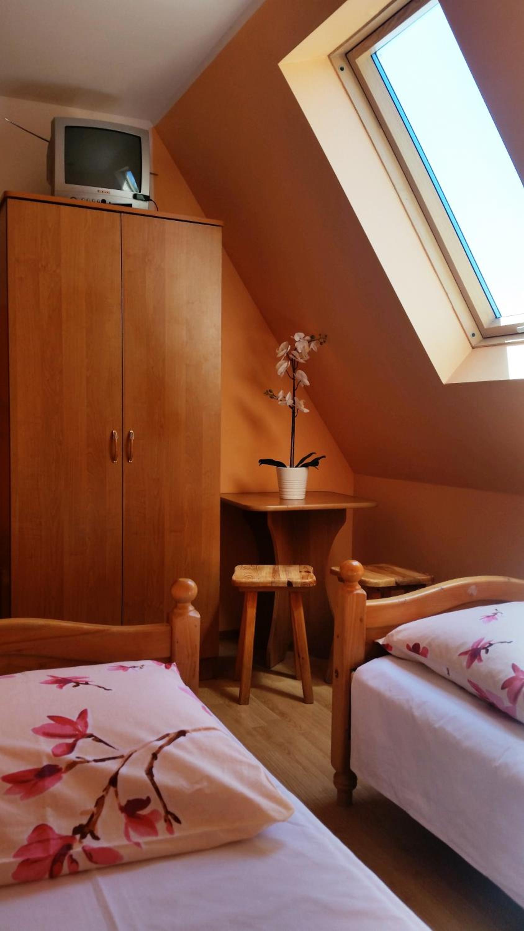 Twin Room photo 1