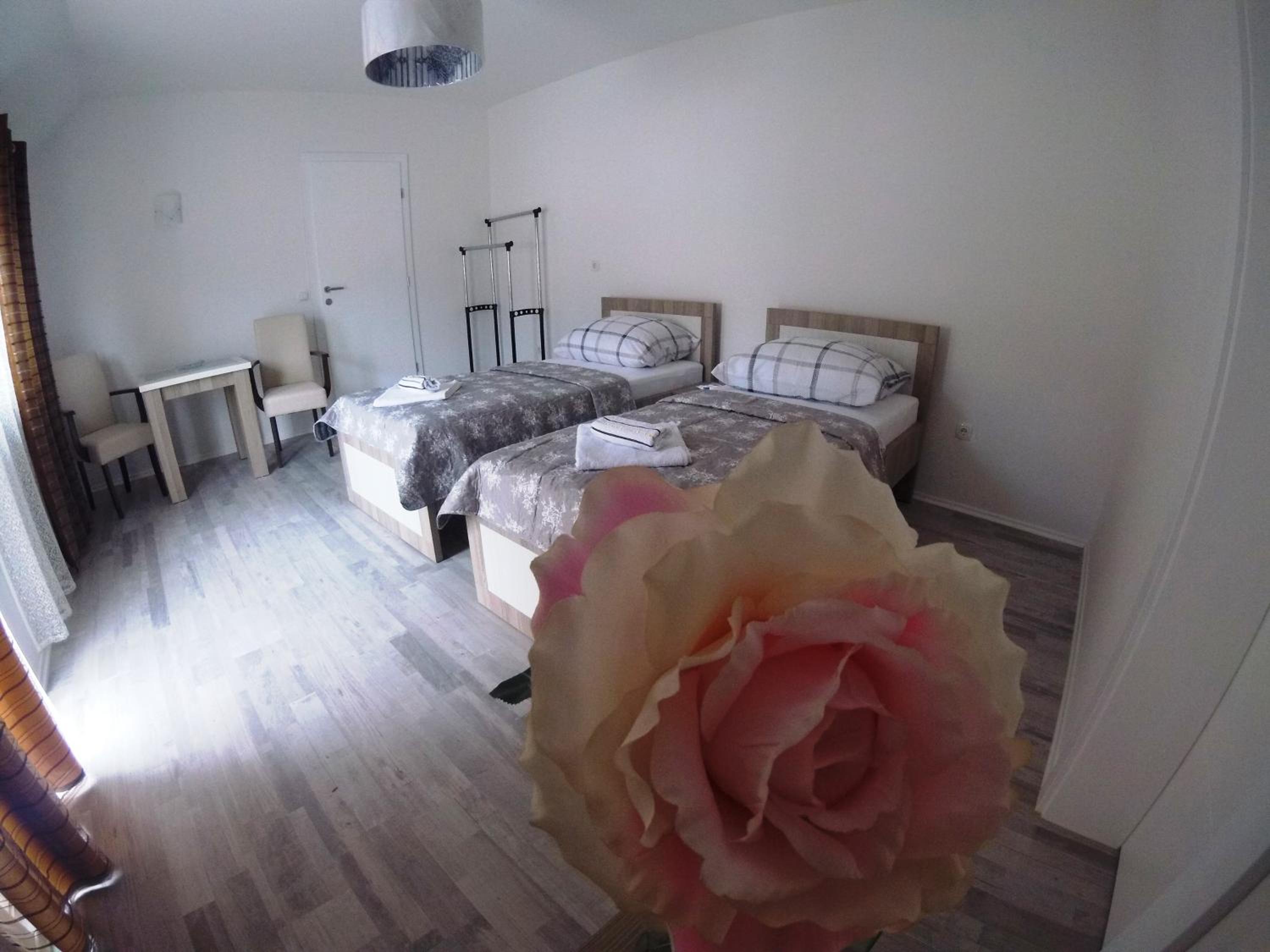 Apartment with Terrace photo 3