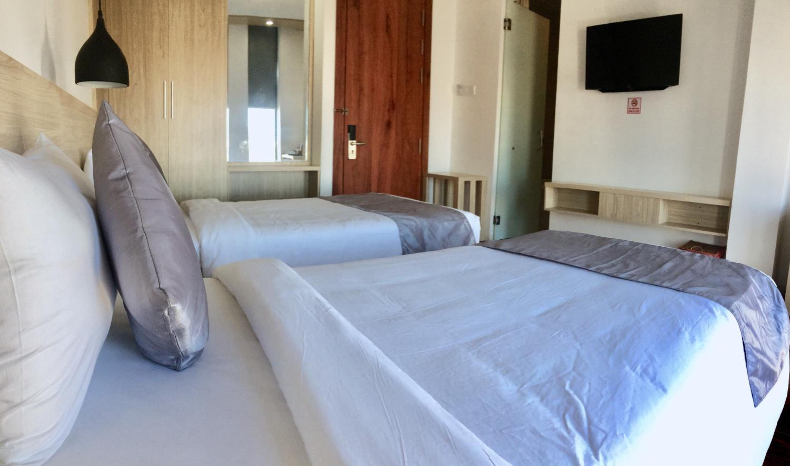 Twin Room photo 3