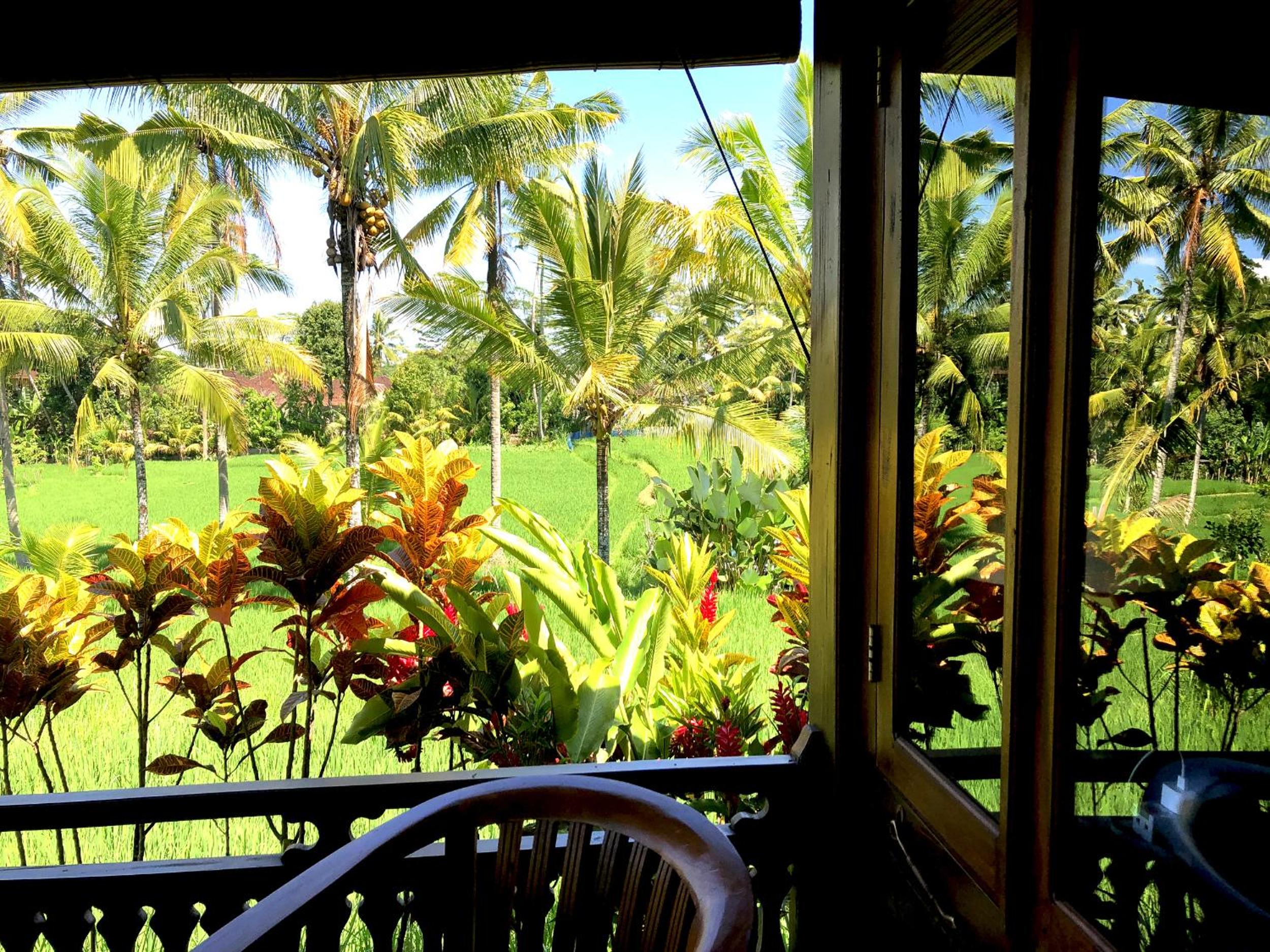 One-Bedroom Villa - Photo 192