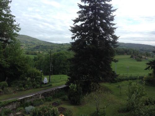 Double Room with Garden View photo 2