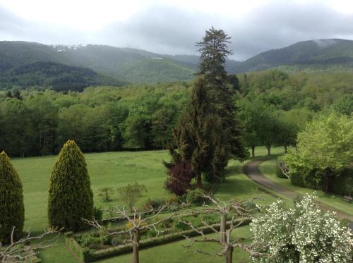 Double Room with Garden View photo 2