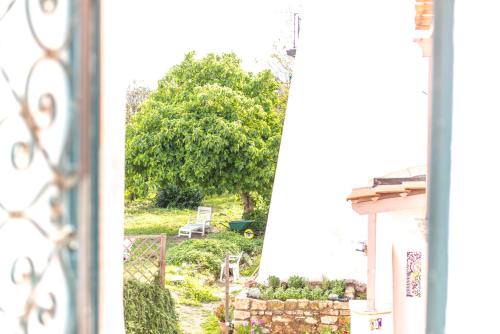 Apartment with Terrace photo 1