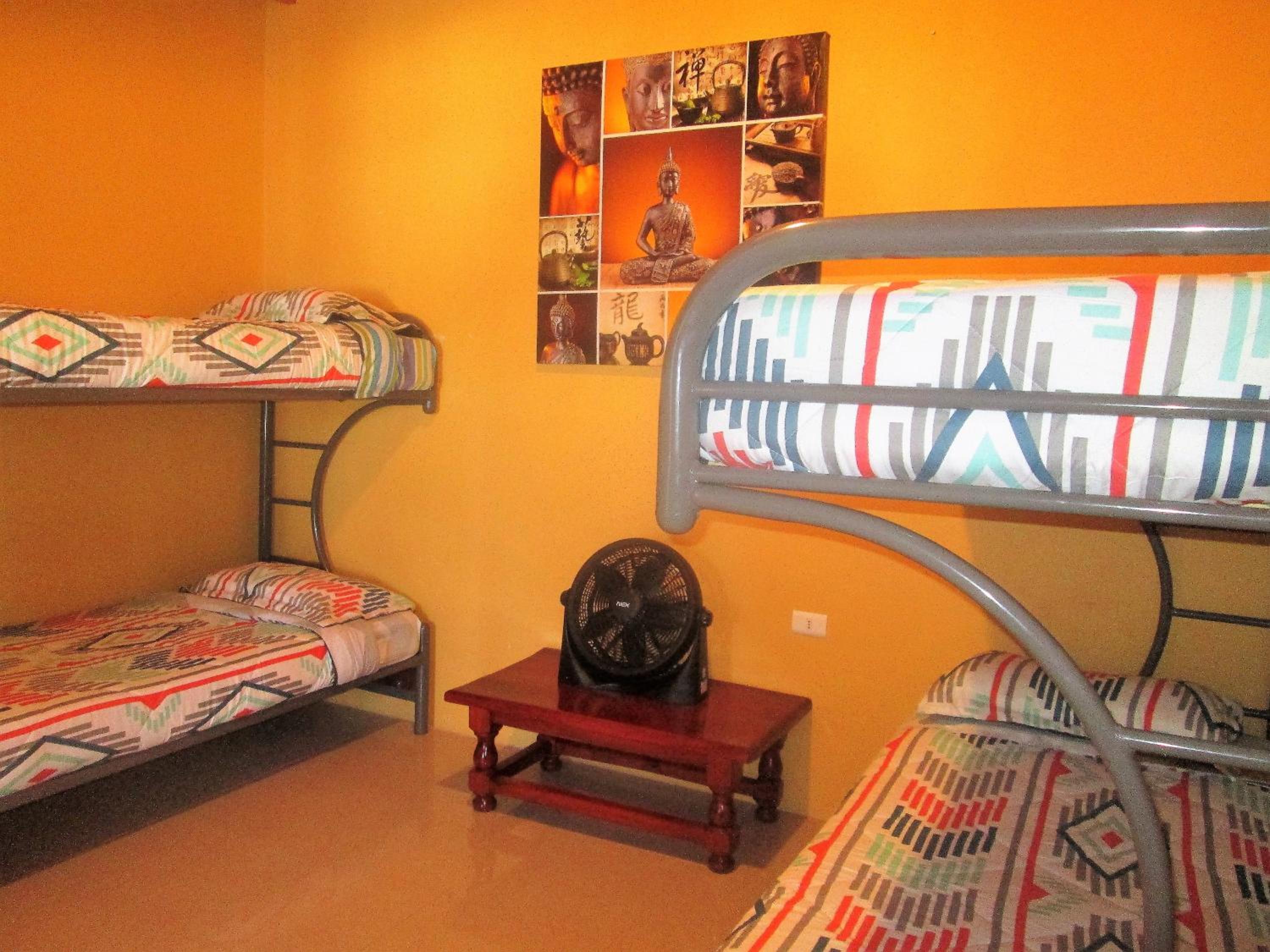 Bunk Bed in Mixed Dormitory Room photo 1