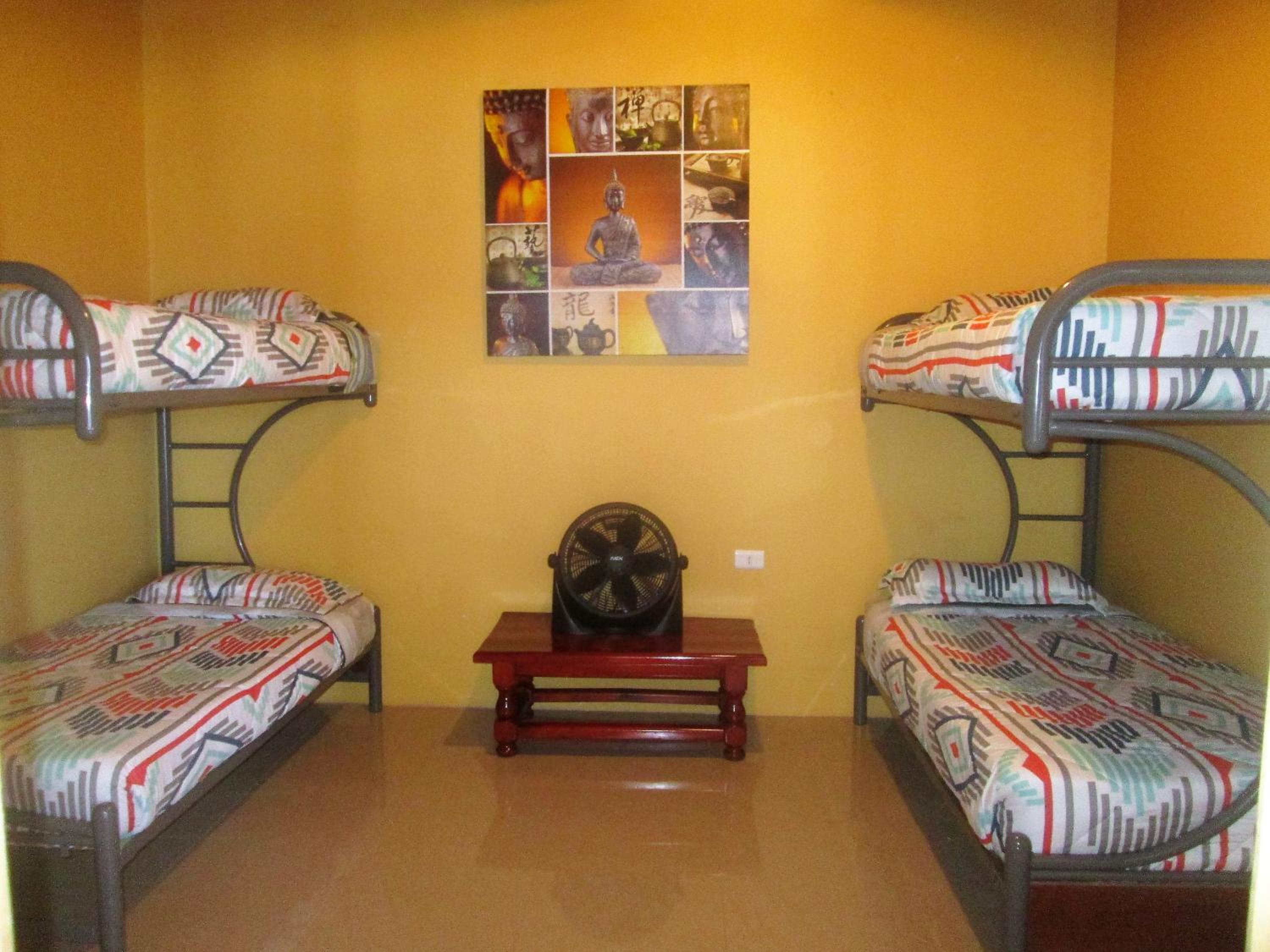Bunk Bed in Mixed Dormitory Room photo 2