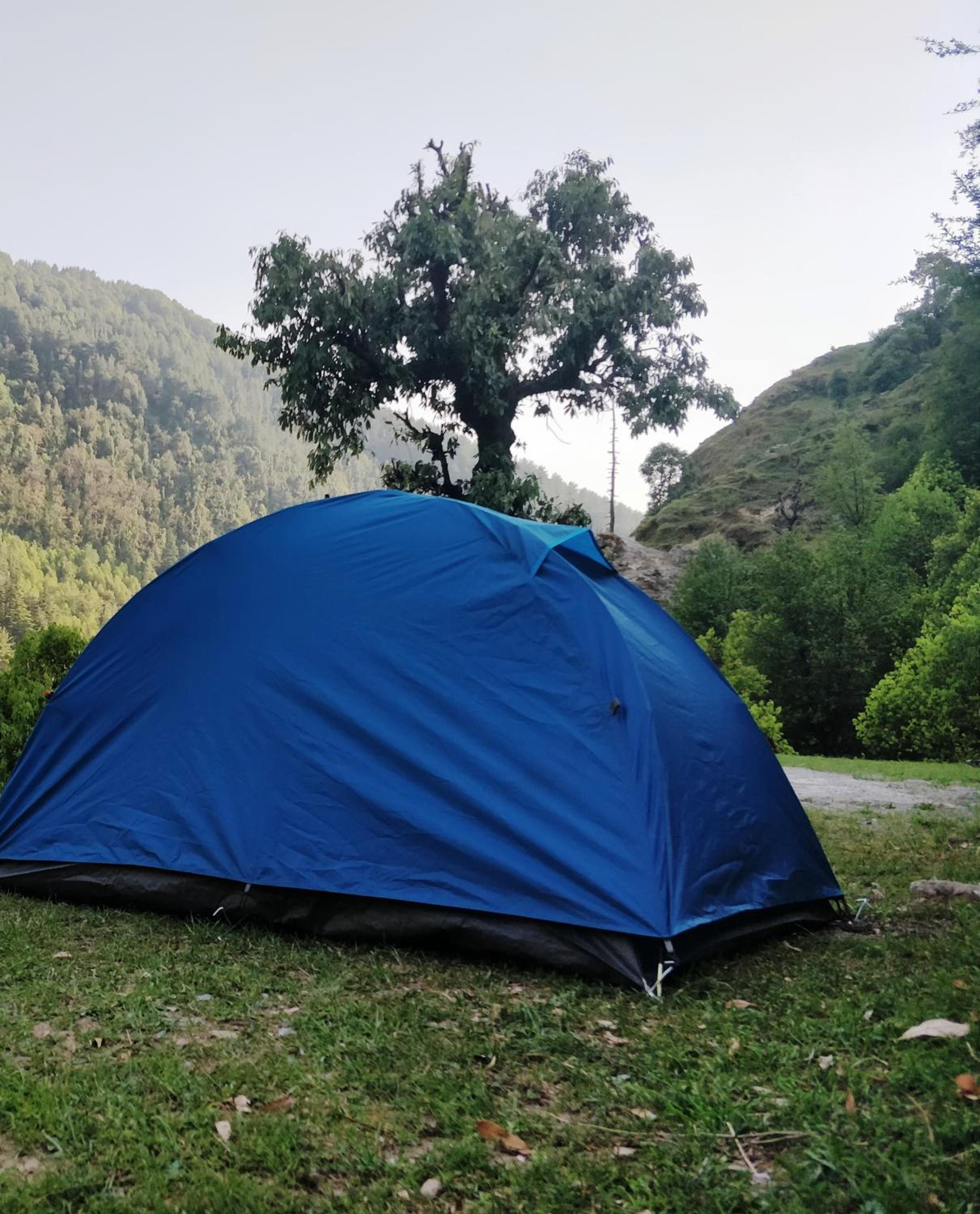 Tent photo 2