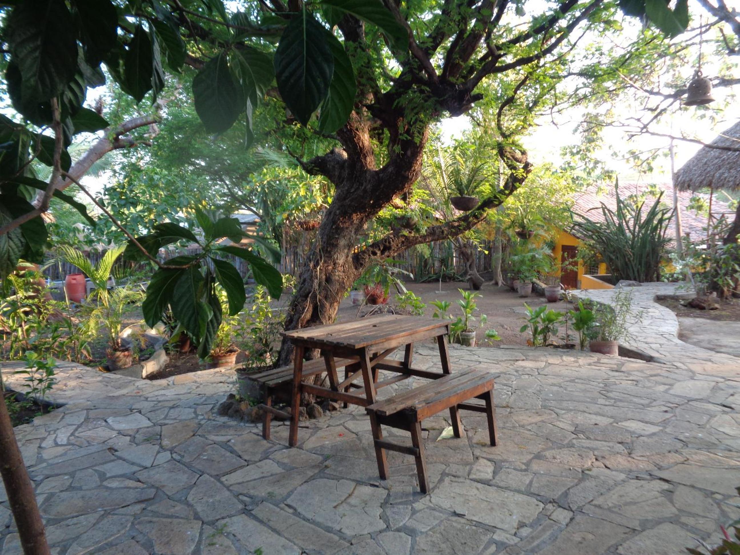 Bungalow with Patio photo 2