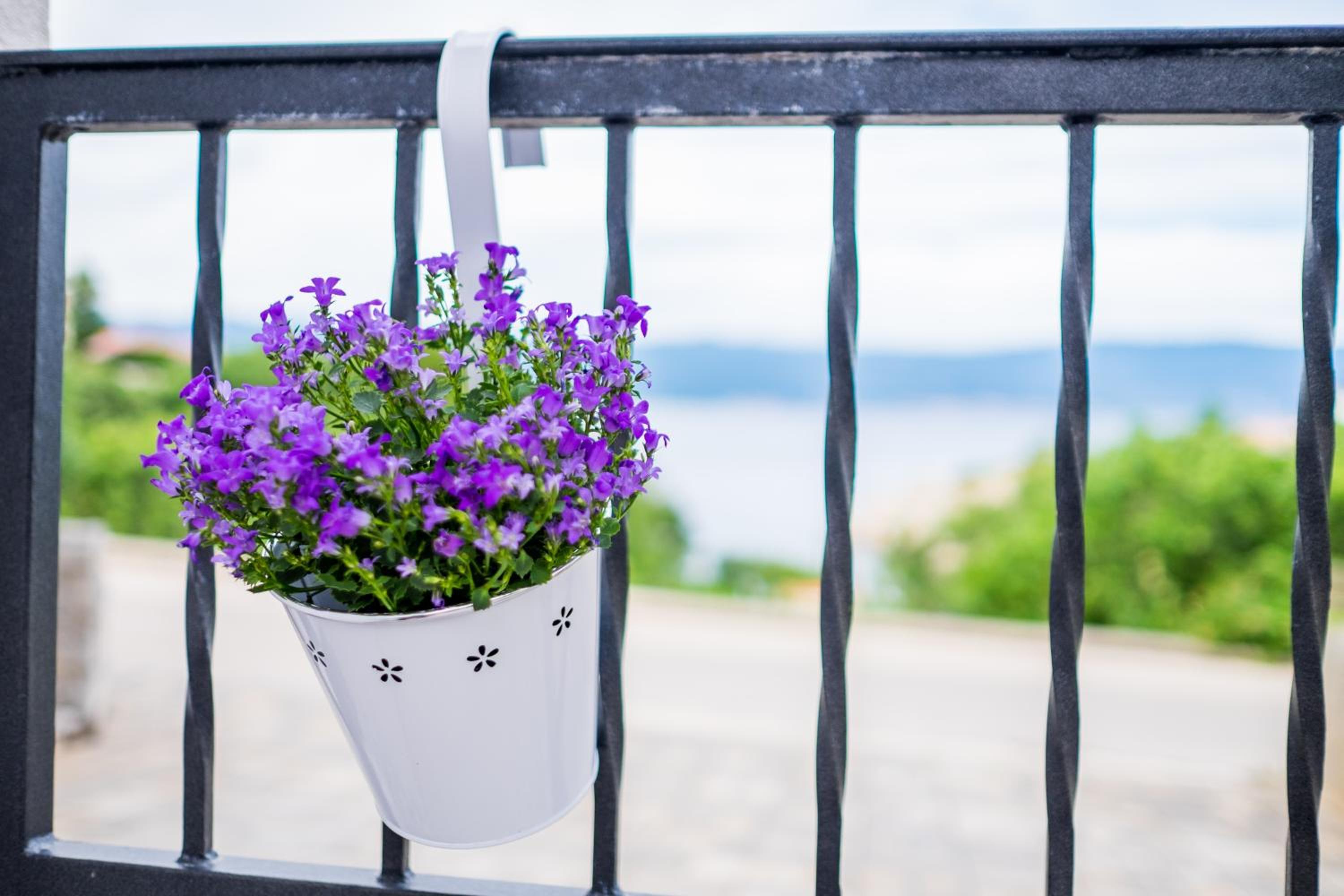 One Bedroom Apartment with Terrace and Sea View photo 3