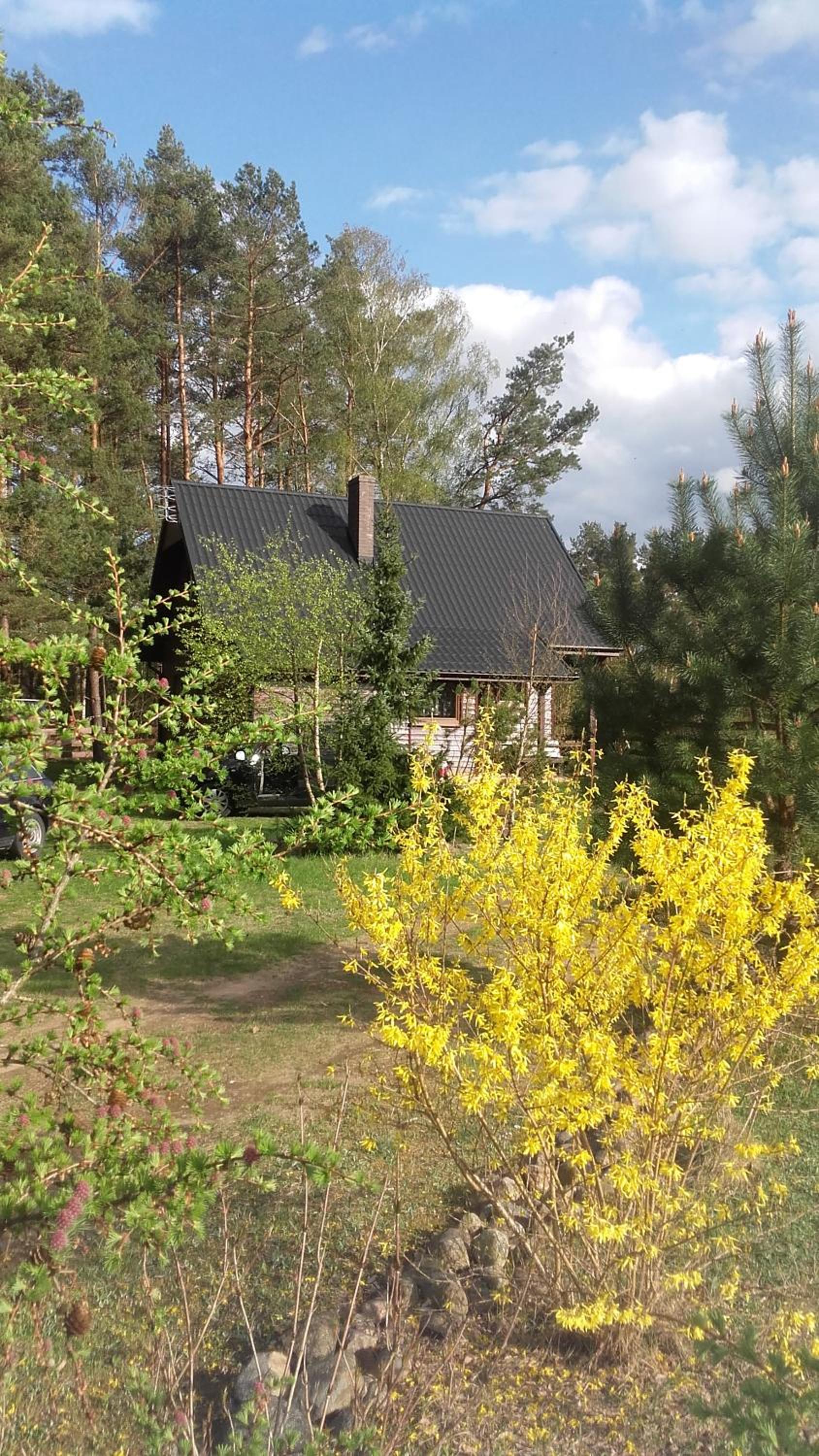 Three-Bedroom House - Photo 43