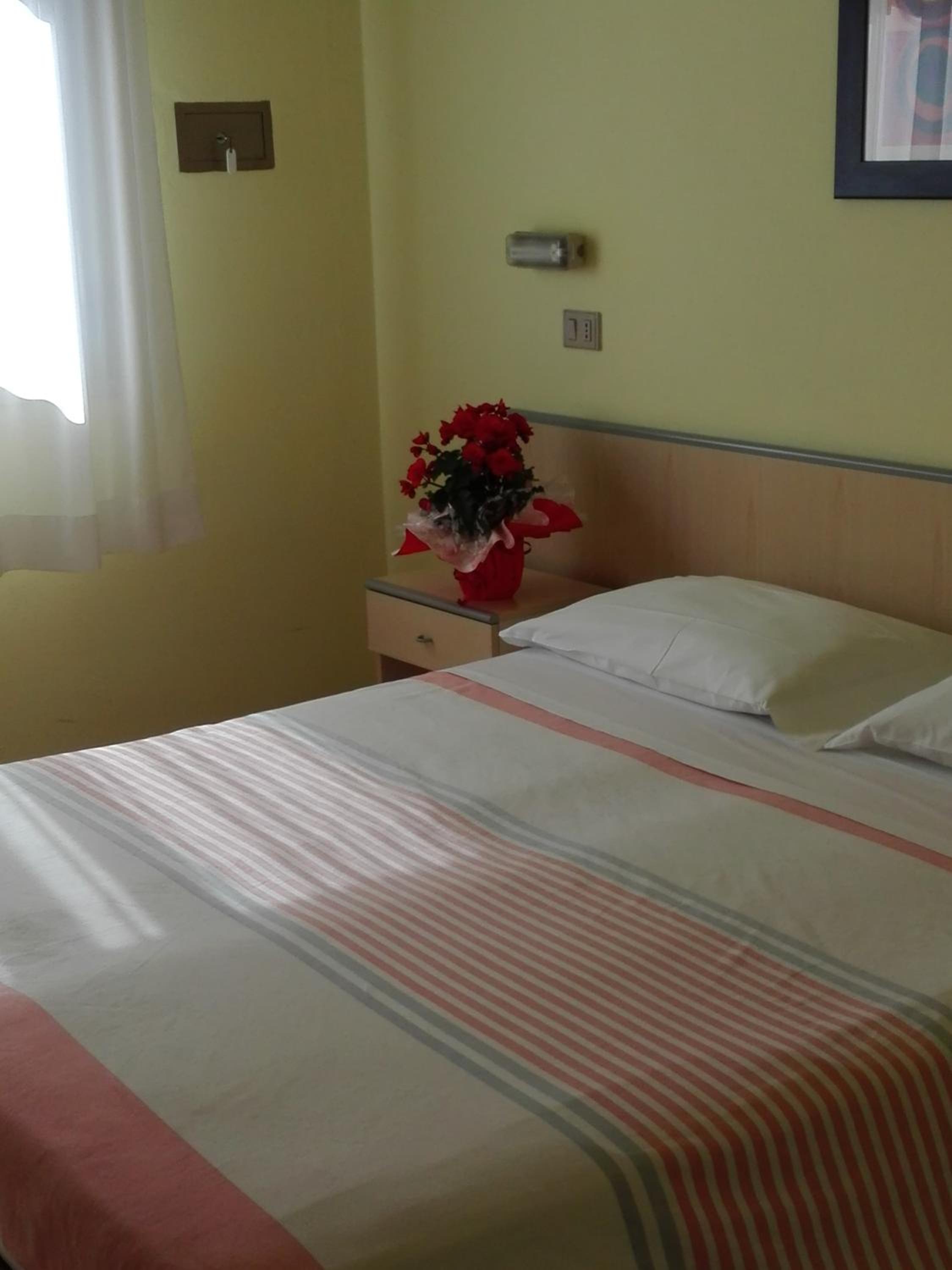 Double or Twin Room photo 1