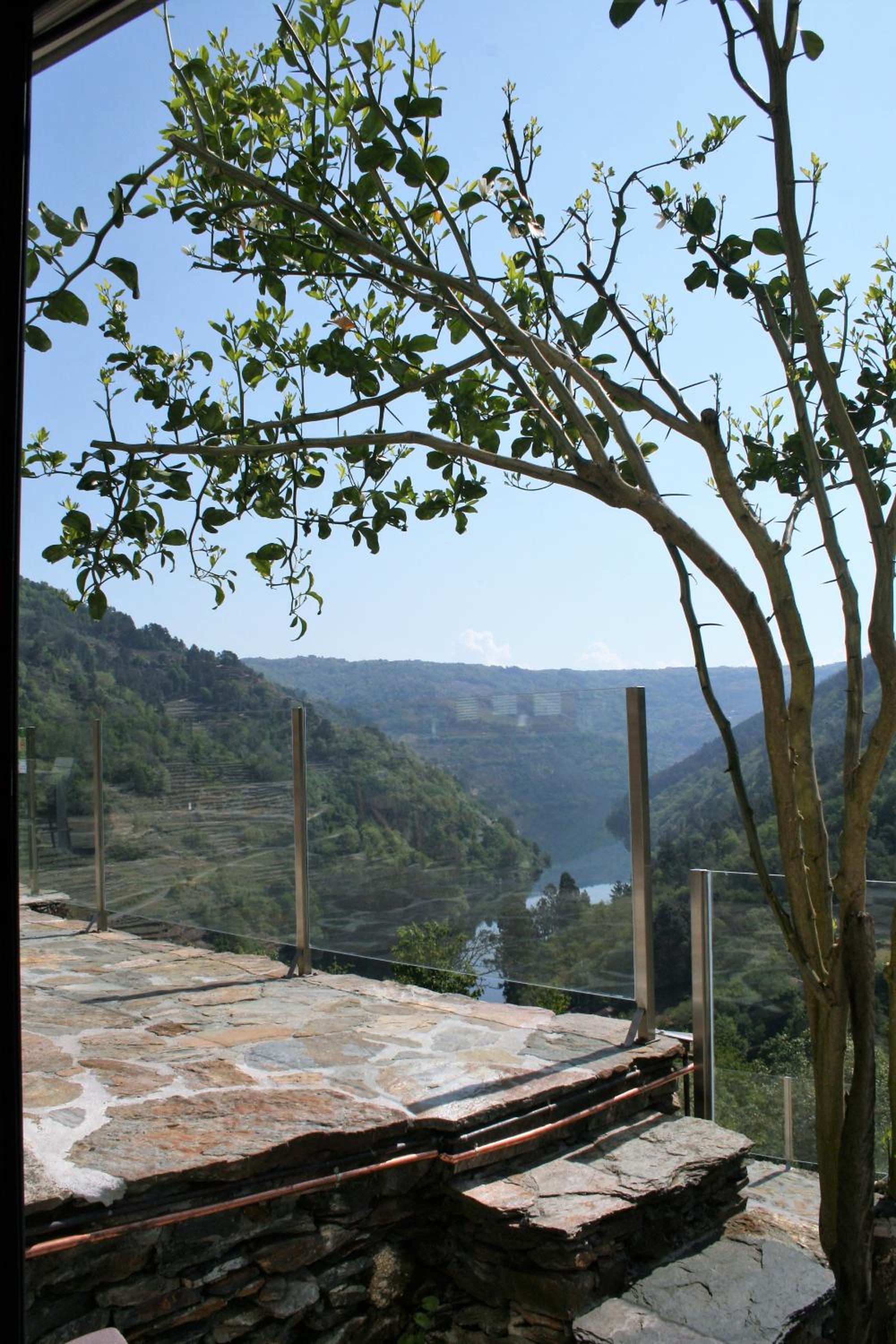 Double Room with Garden View photo 2