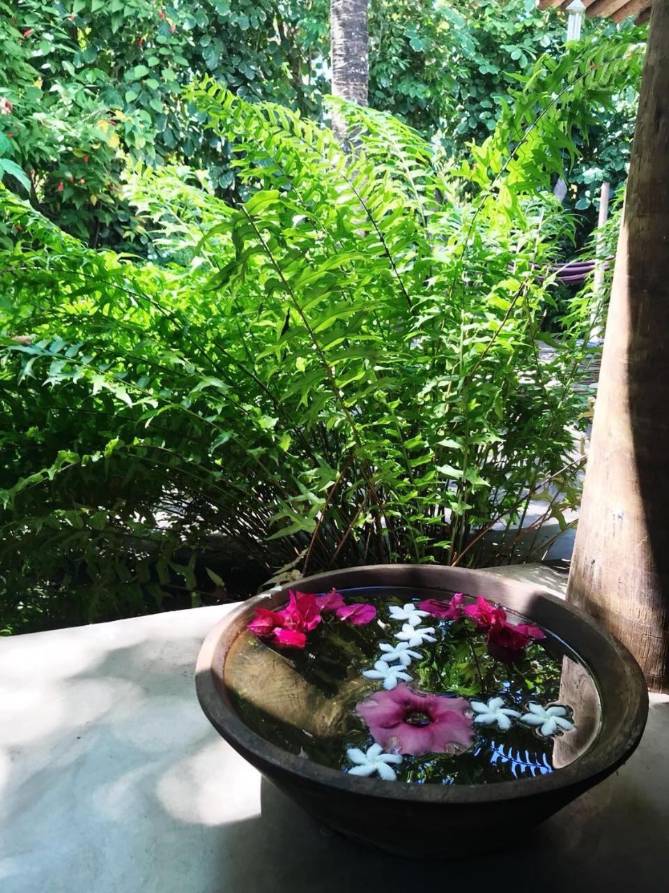 Superior Double or Twin Room with Garden View - Photo 16