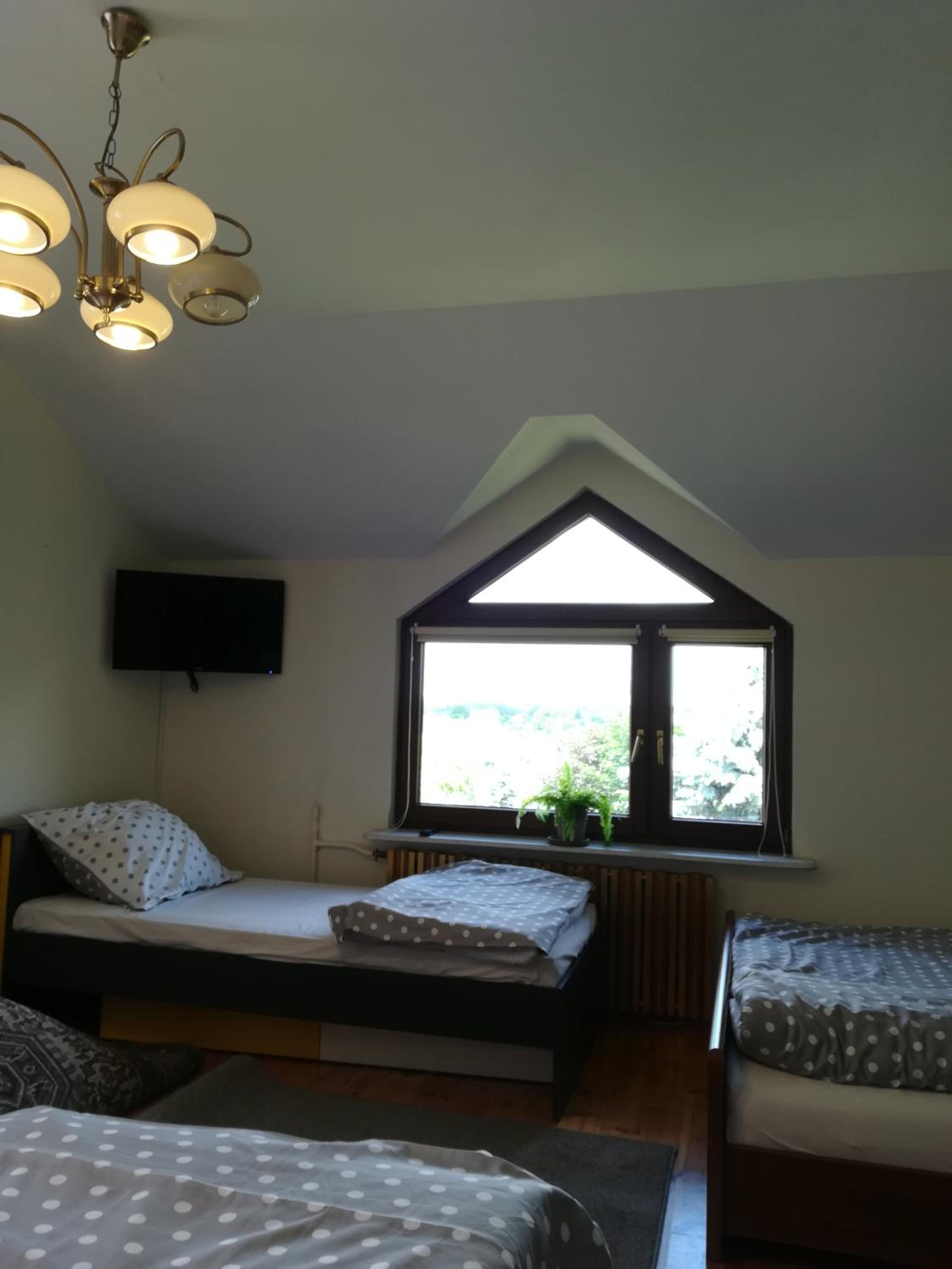 Family Room with Terrace photo 3