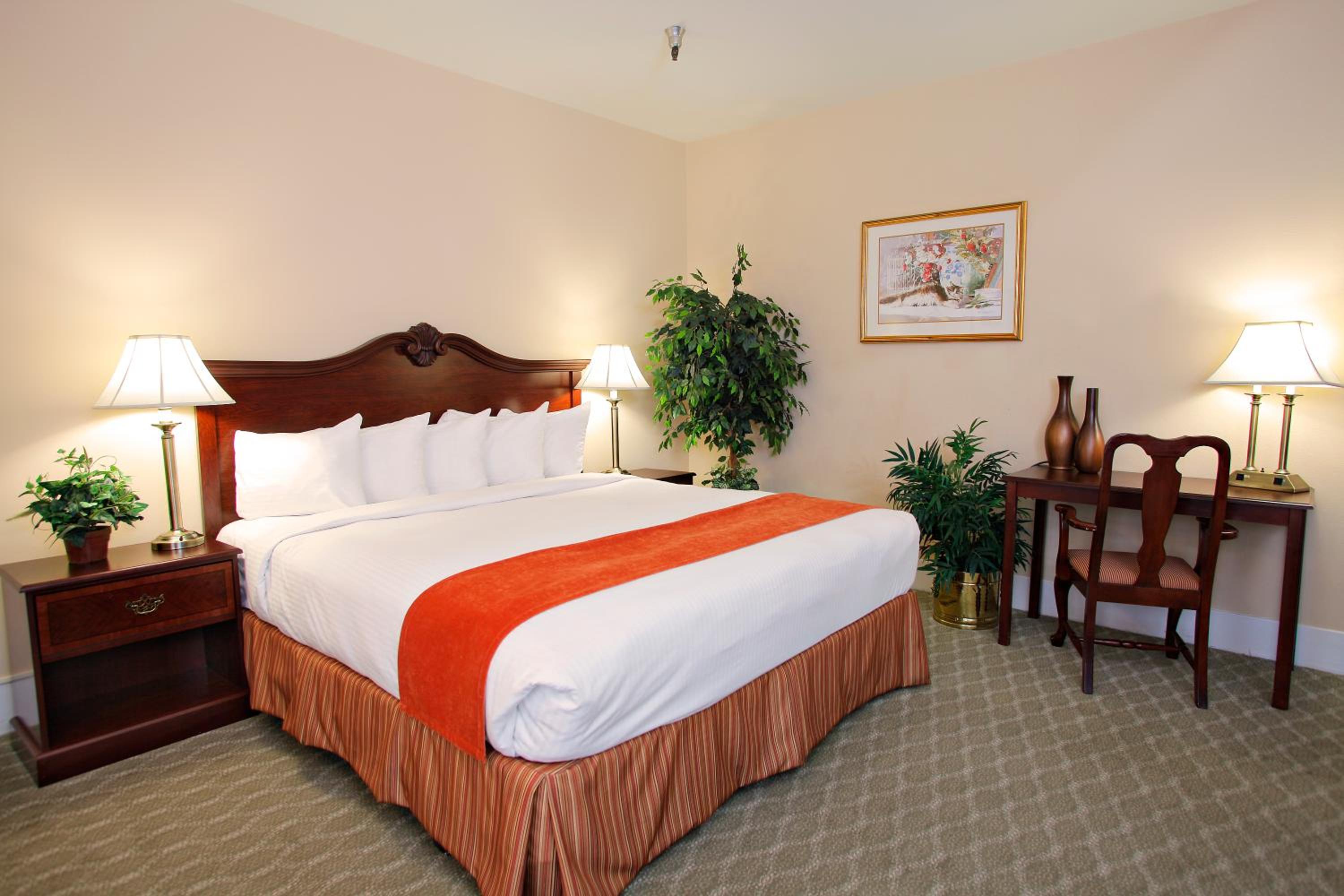Standard King Room - Photo 2