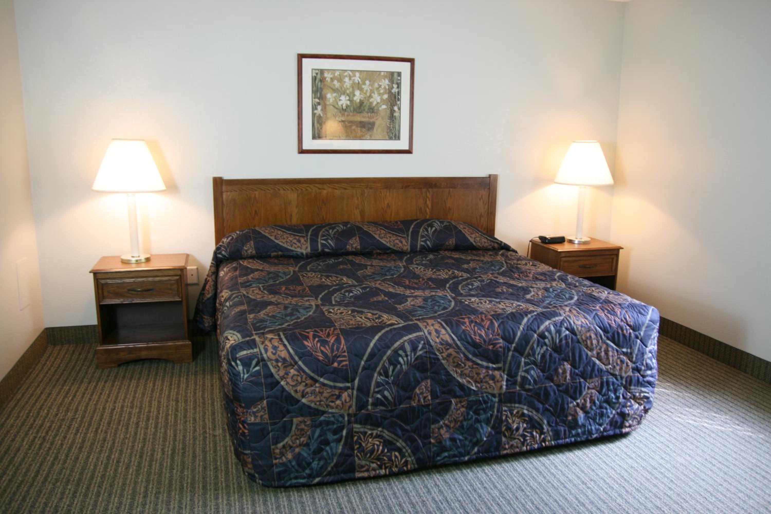 One-Bedroom Suite - Photo 7