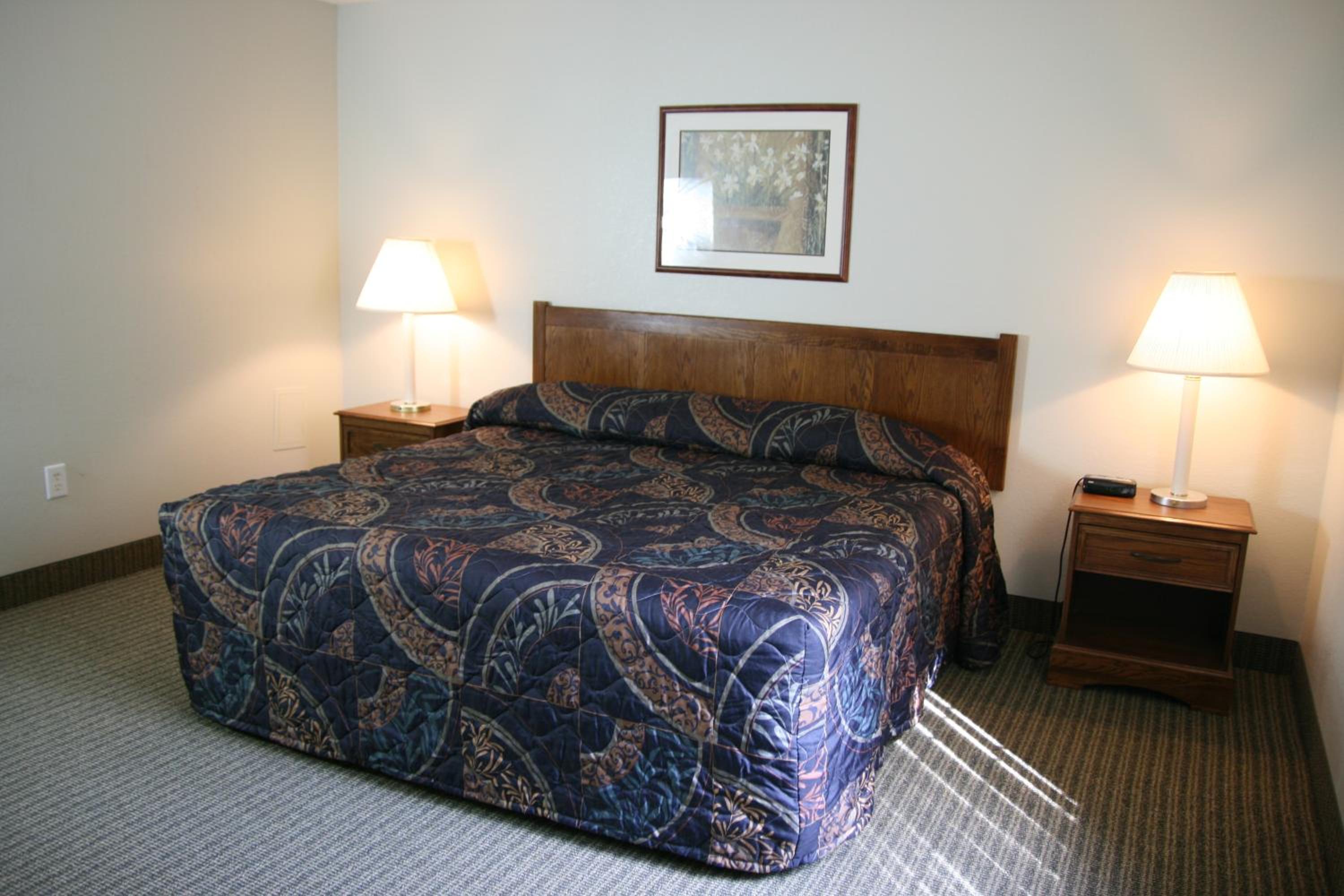 One-Bedroom Suite - Photo 8