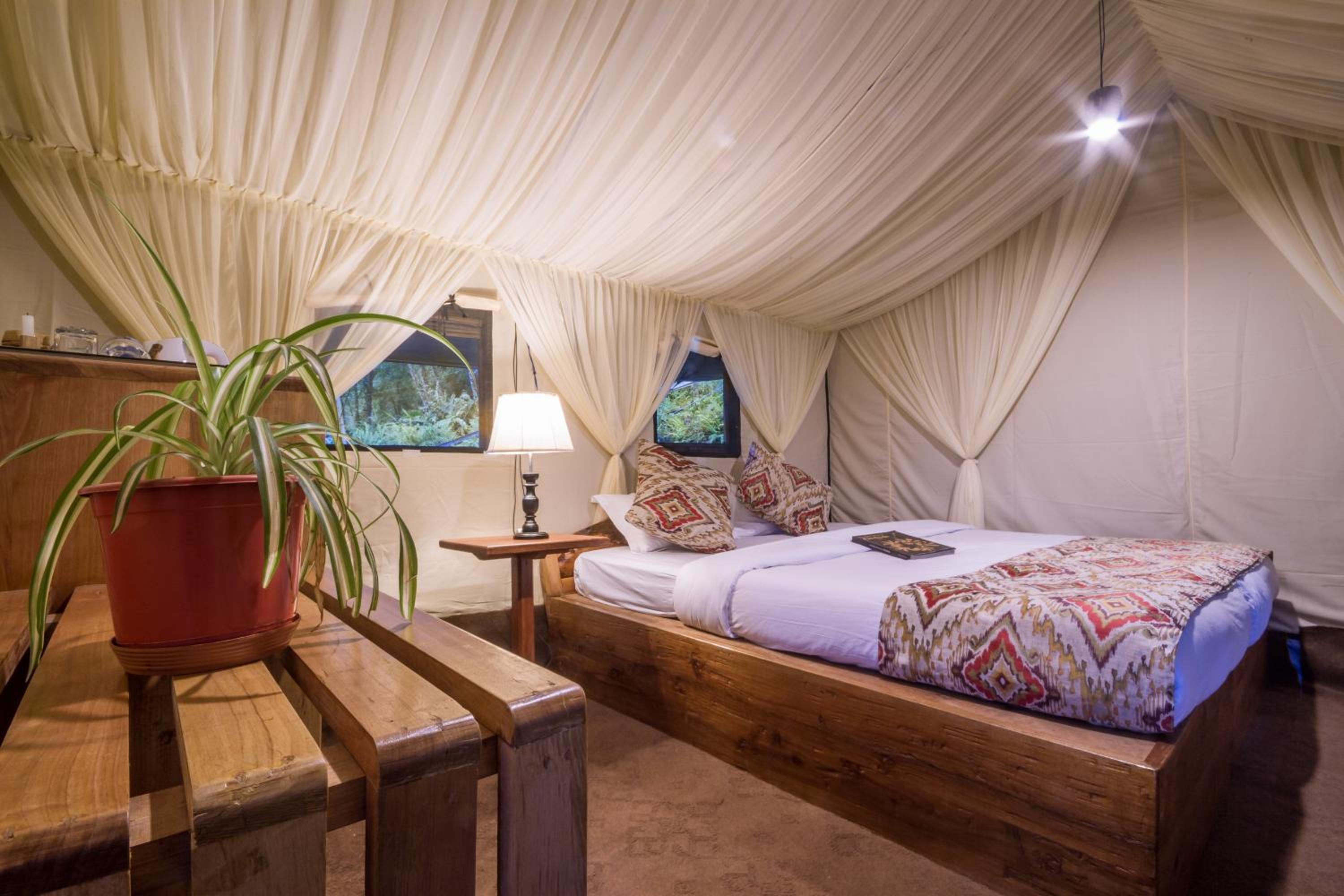 Tent (2 Adults)  - Photo 5