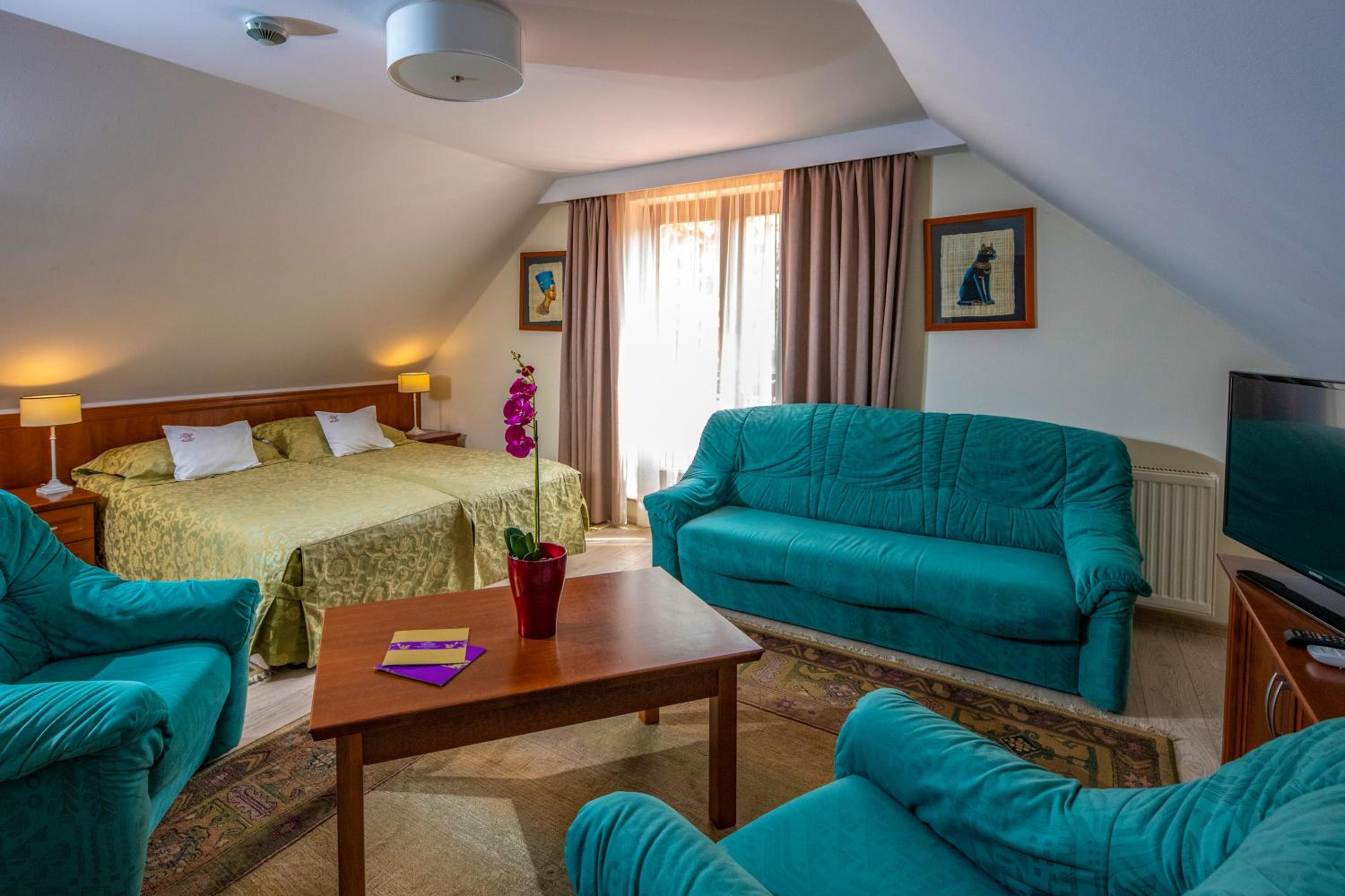 Superior Double Room - Photo 1