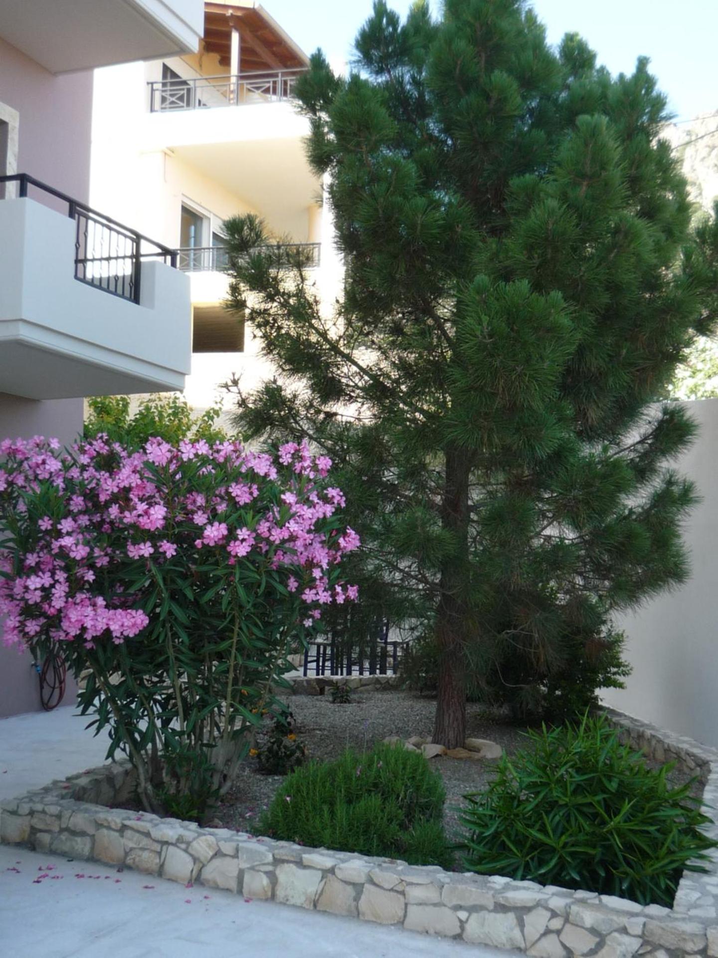 Apartment with Garden View photo 3